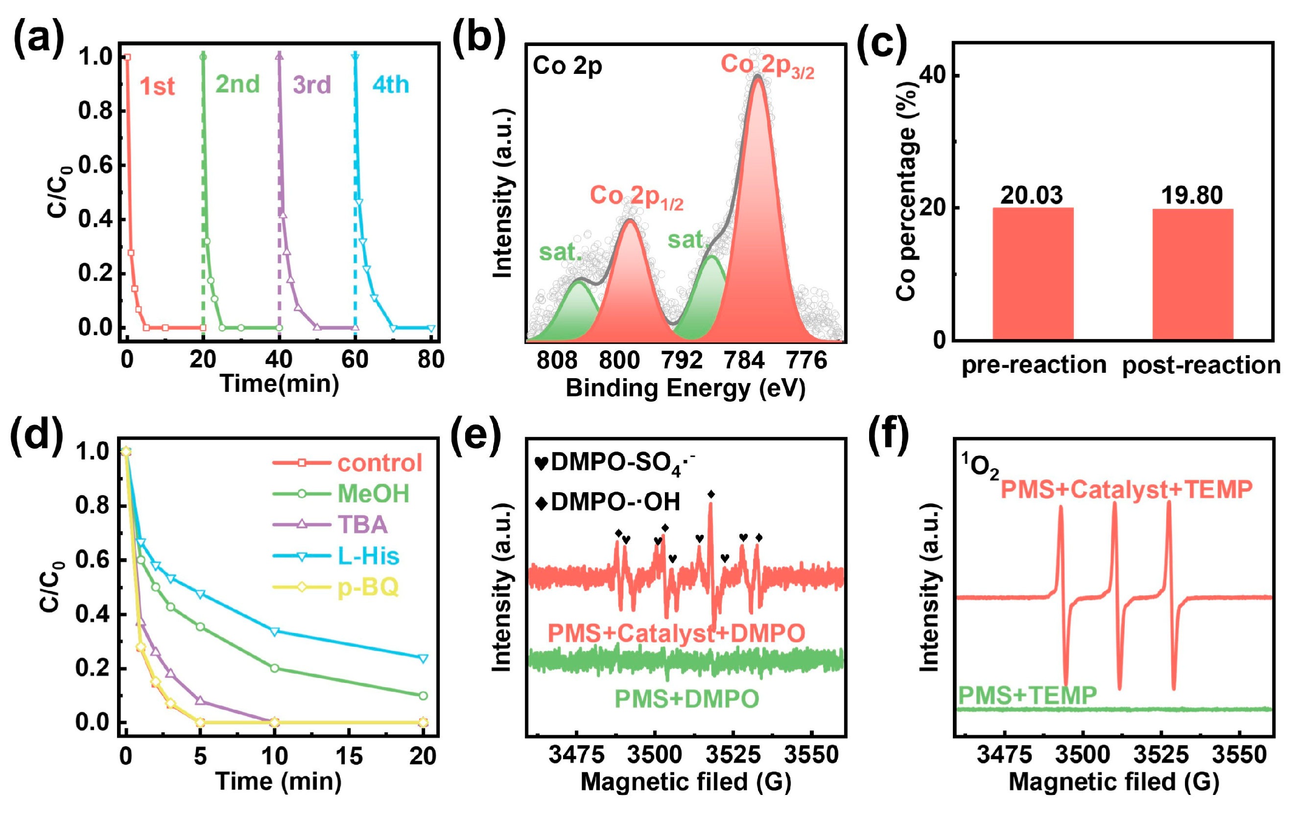 Catalysts 15 01117 g004 Catalysts 15 01117 g004