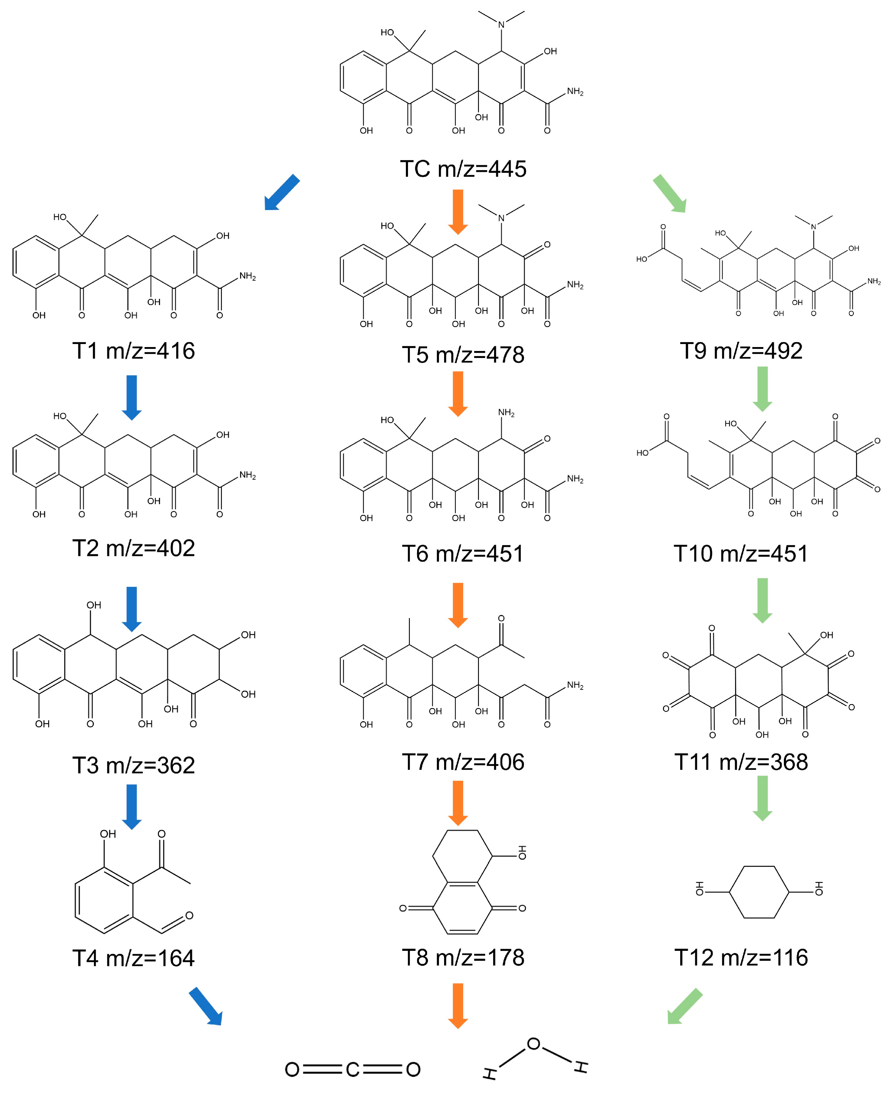 Catalysts 15 01117 g005 Catalysts 15 01117 g005