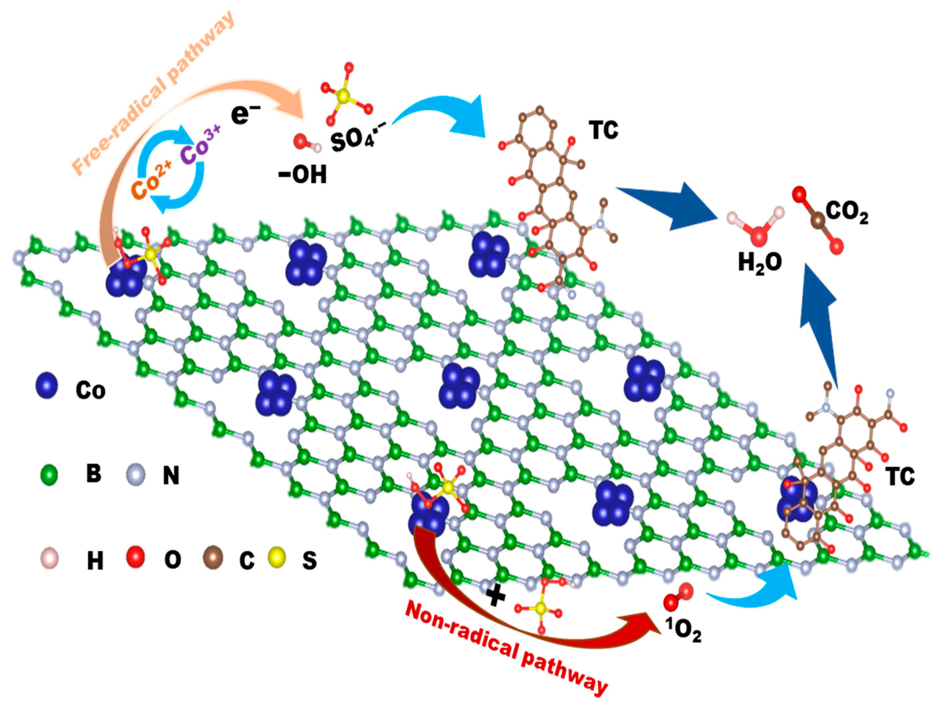 Catalysts 15 01117 g006 Catalysts 15 01117 g006