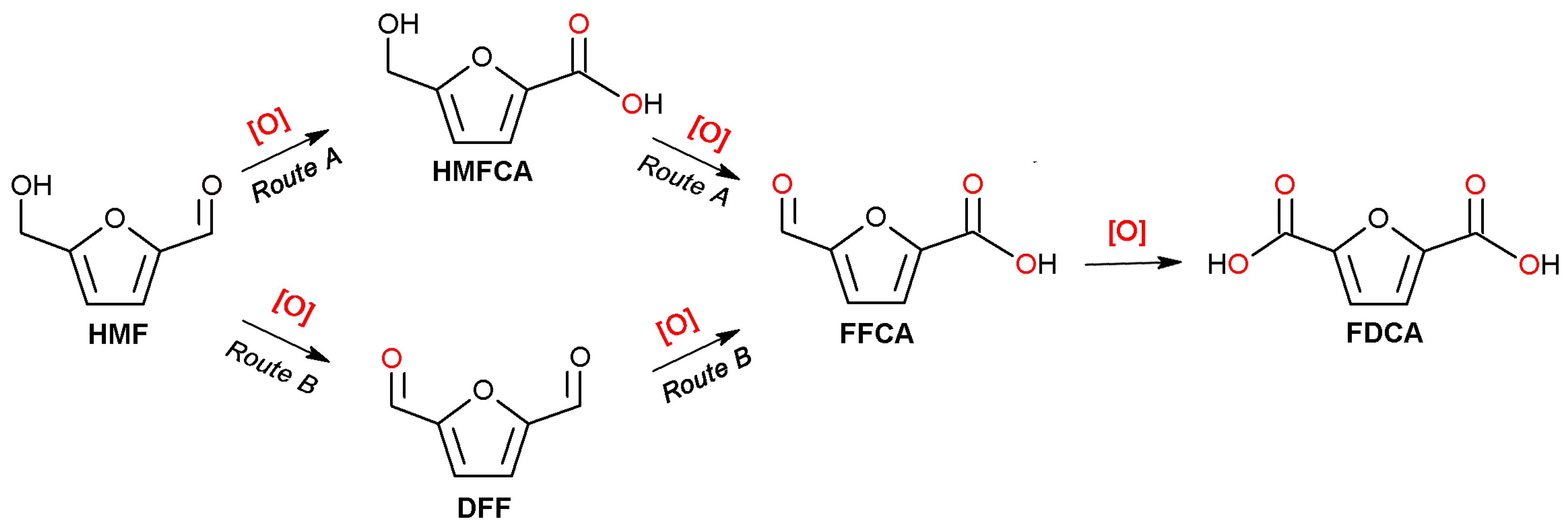 Catalysts 15 01120 sch001