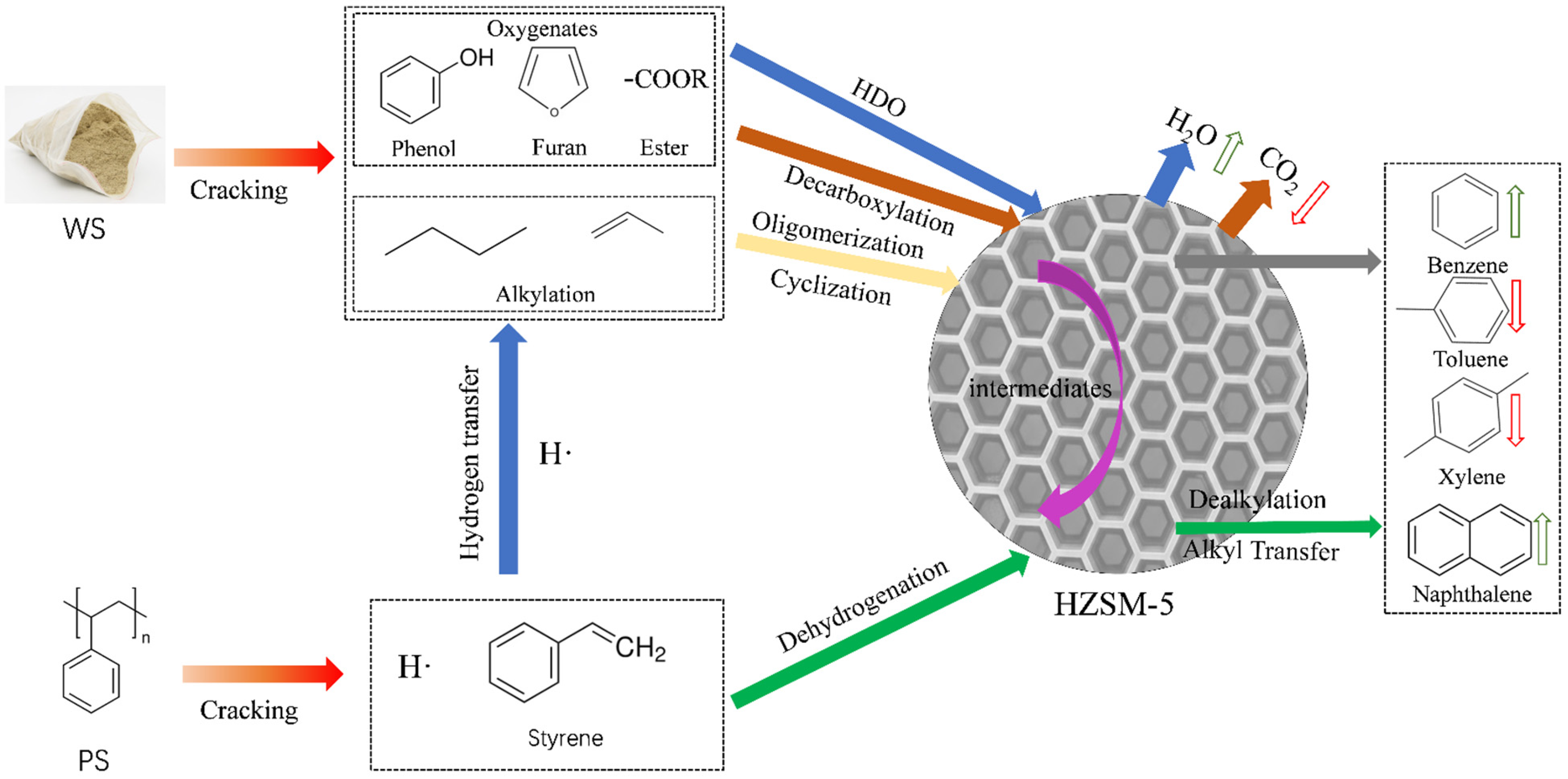 Catalysts 15 01121 g008
