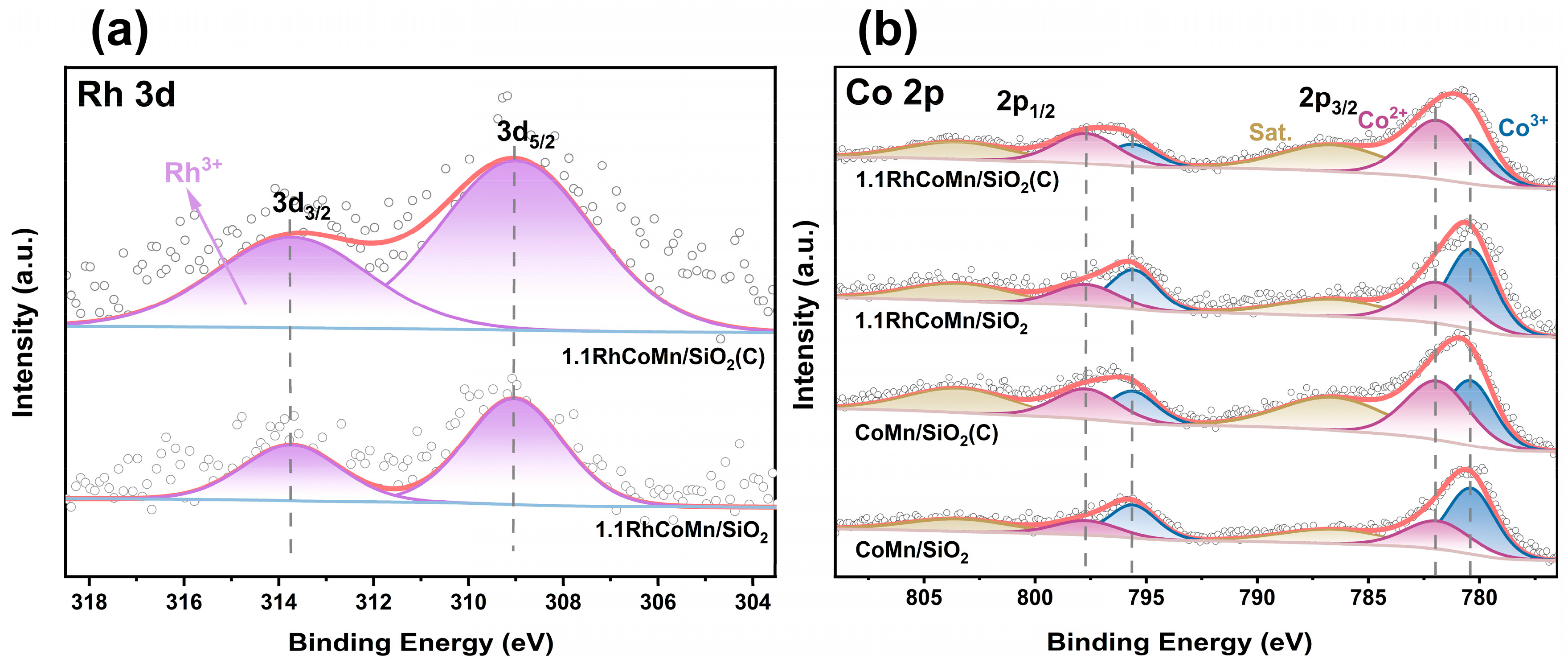 Catalysts 15 01122 g004 Catalysts 15 01122 g004
