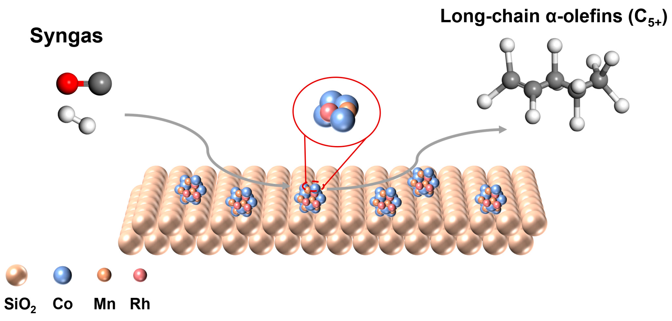 Catalysts 15 01122 g007 Catalysts 15 01122 g007