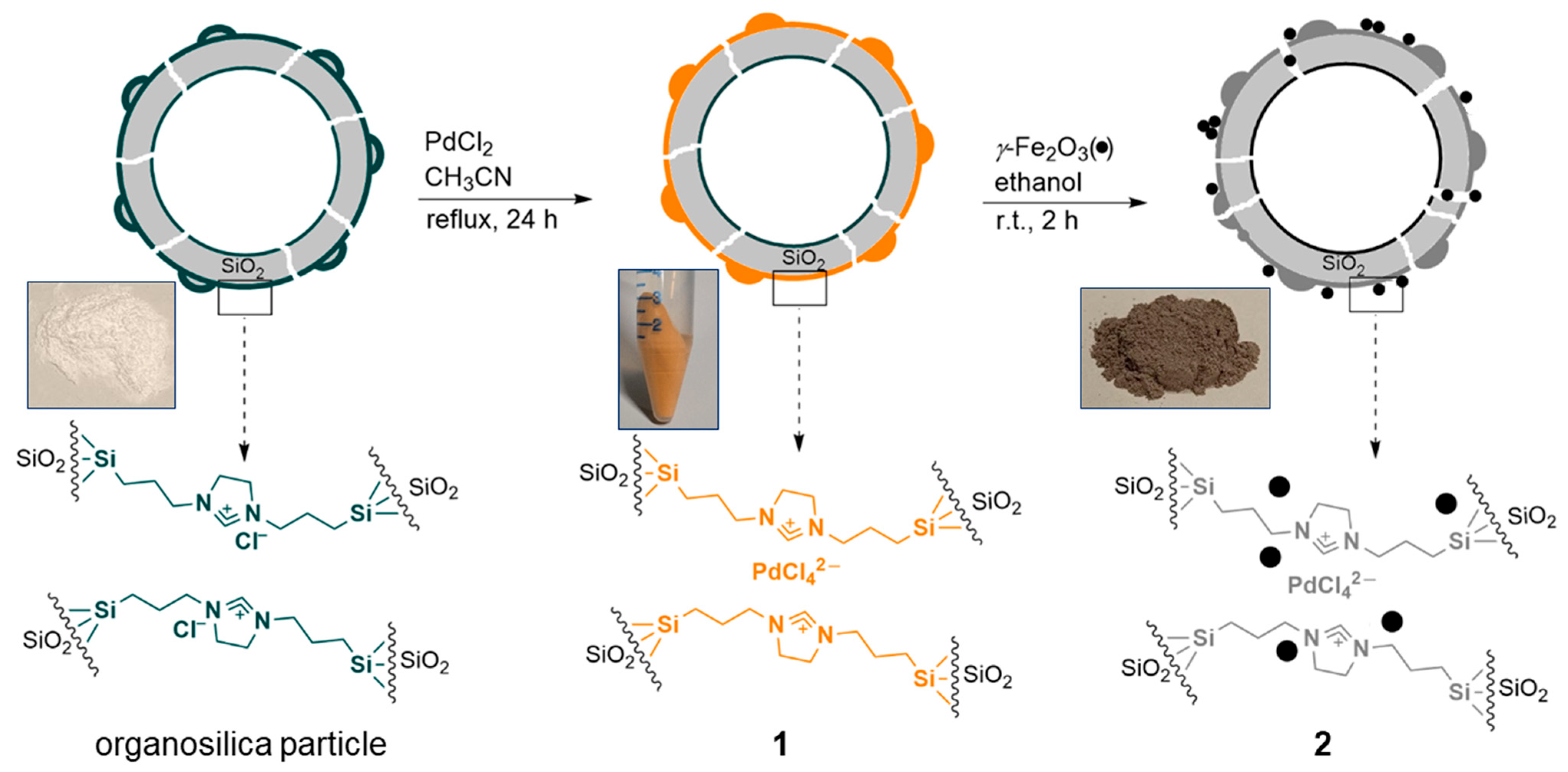 Catalysts 15 01123 g001
