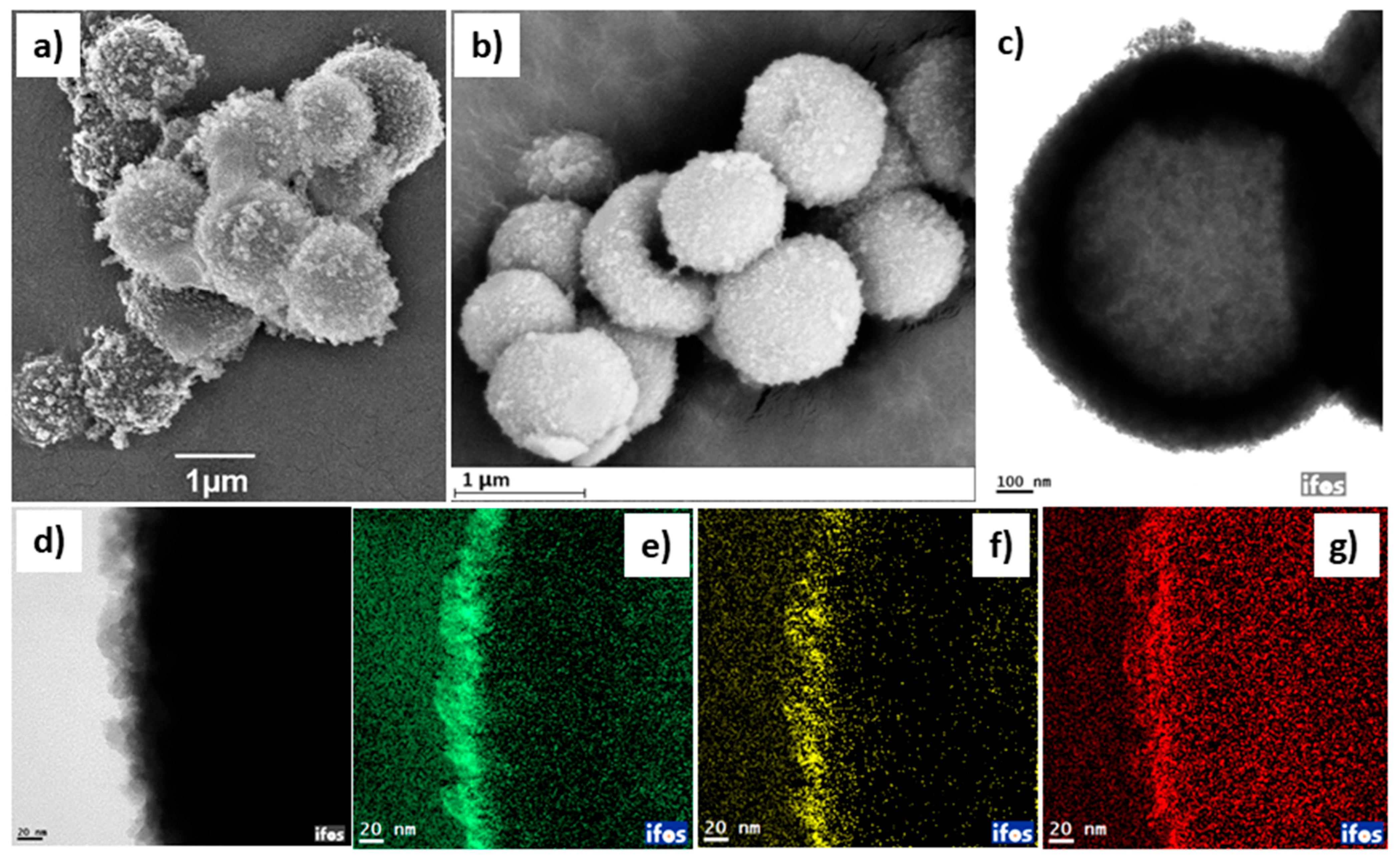 Catalysts 15 01123 g005