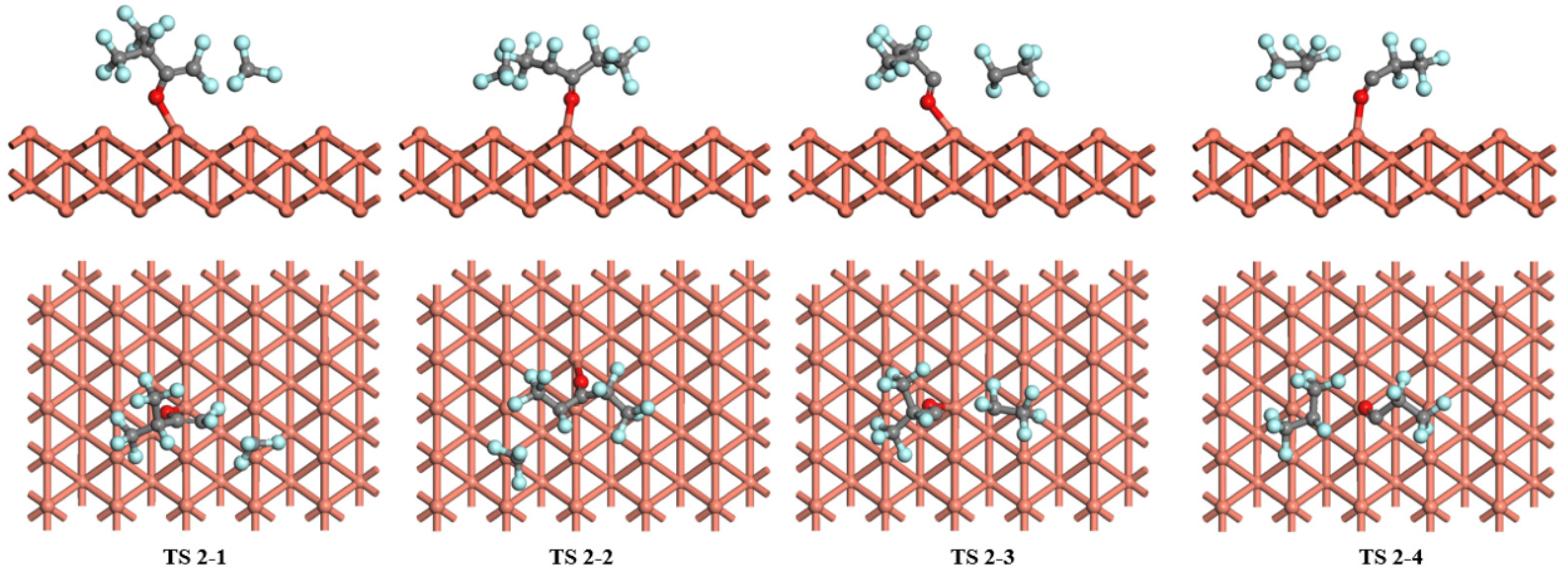 Catalysts 15 01124 g007