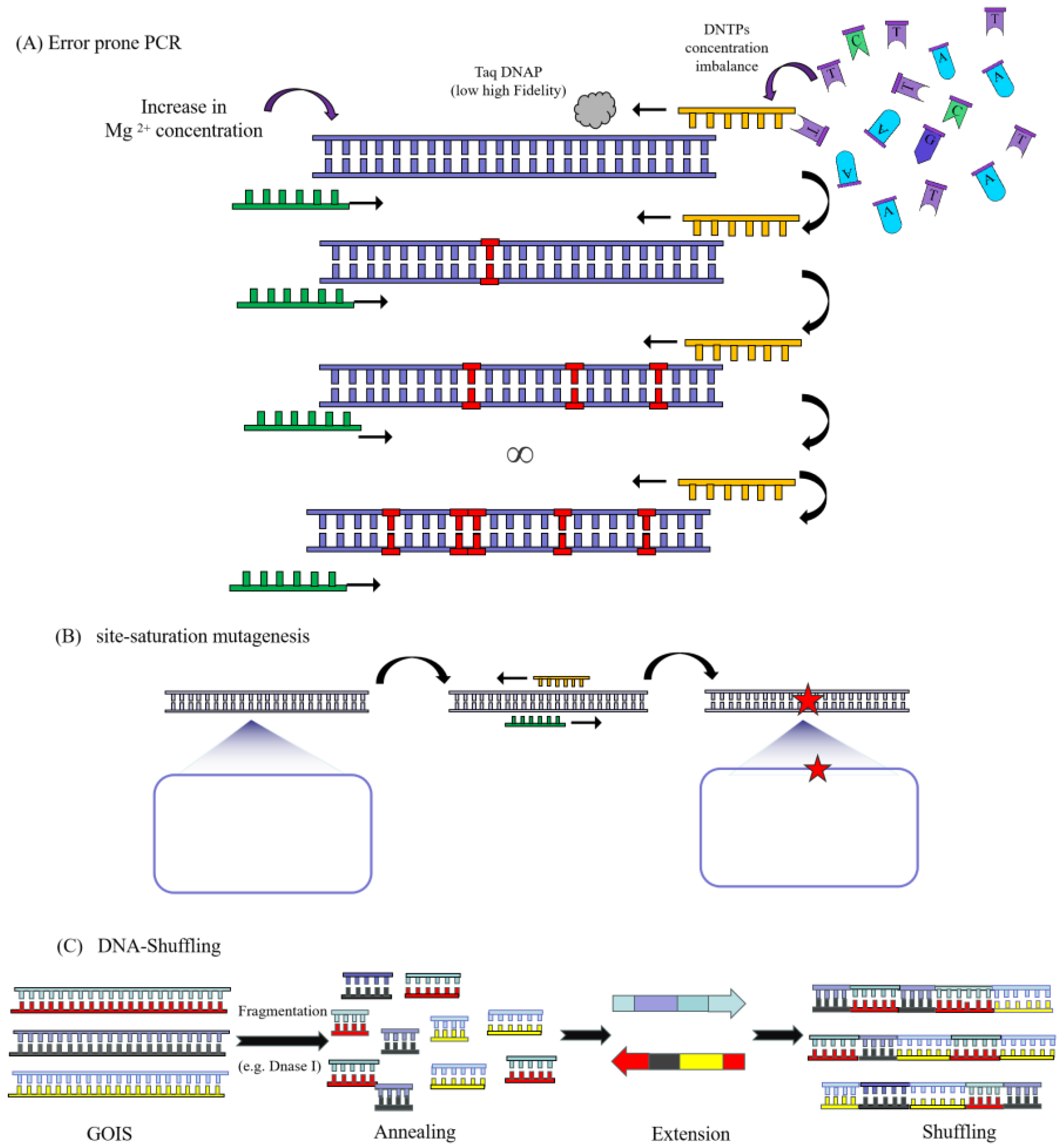 Catalysts 15 01127 g001 Catalysts 15 01127 g001