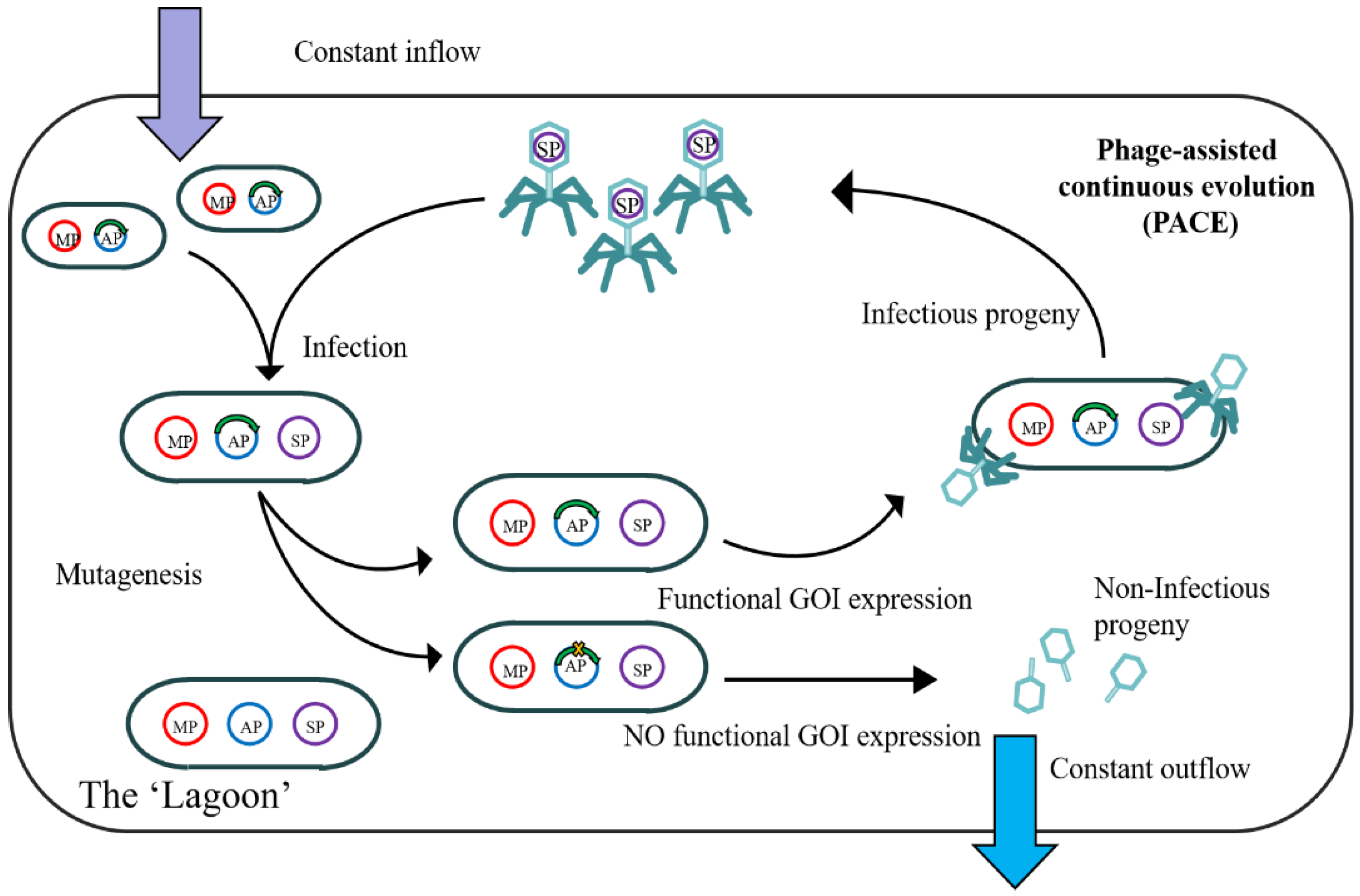 Catalysts 15 01127 g002 Catalysts 15 01127 g002
