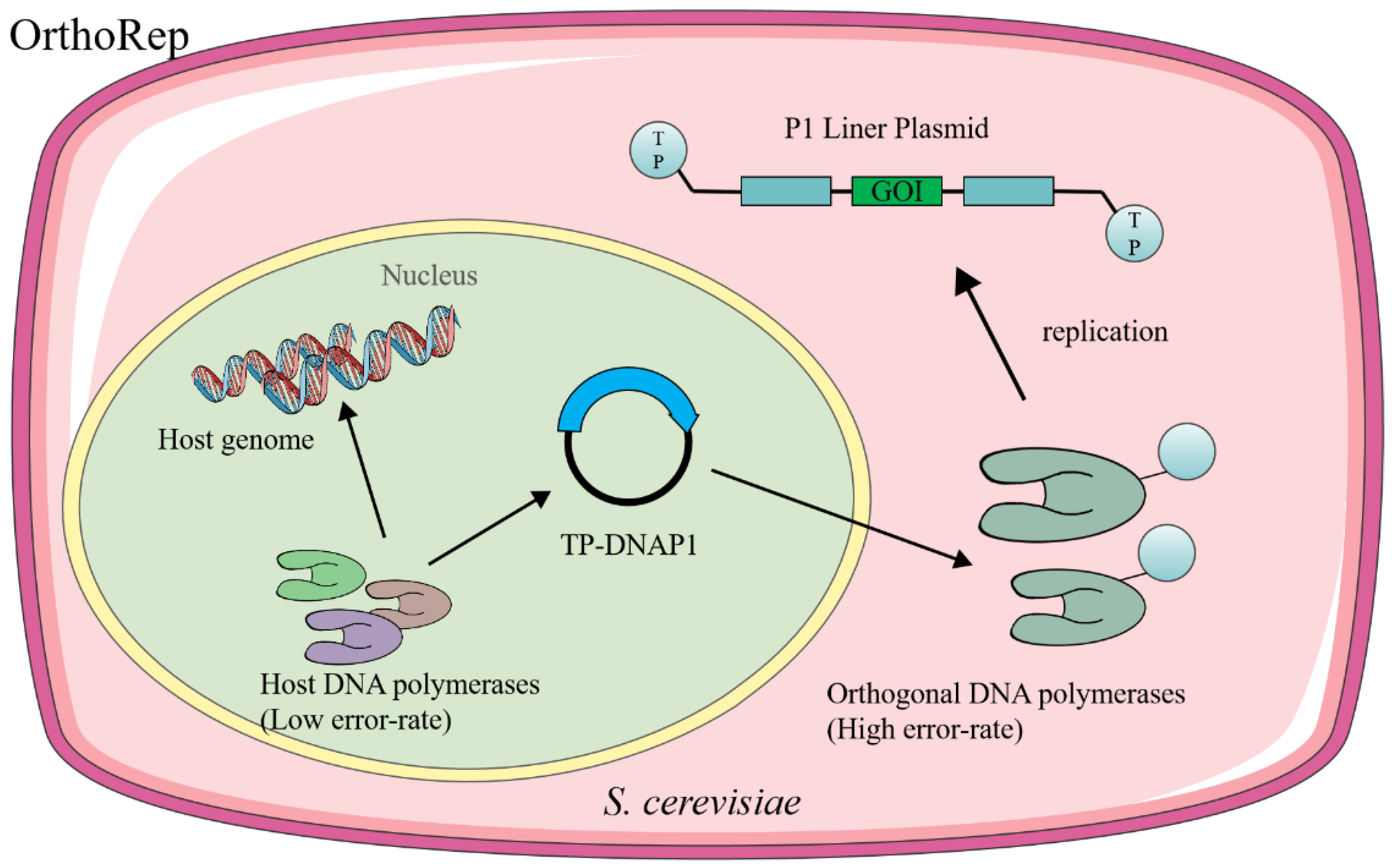 Catalysts 15 01127 g003 Catalysts 15 01127 g003