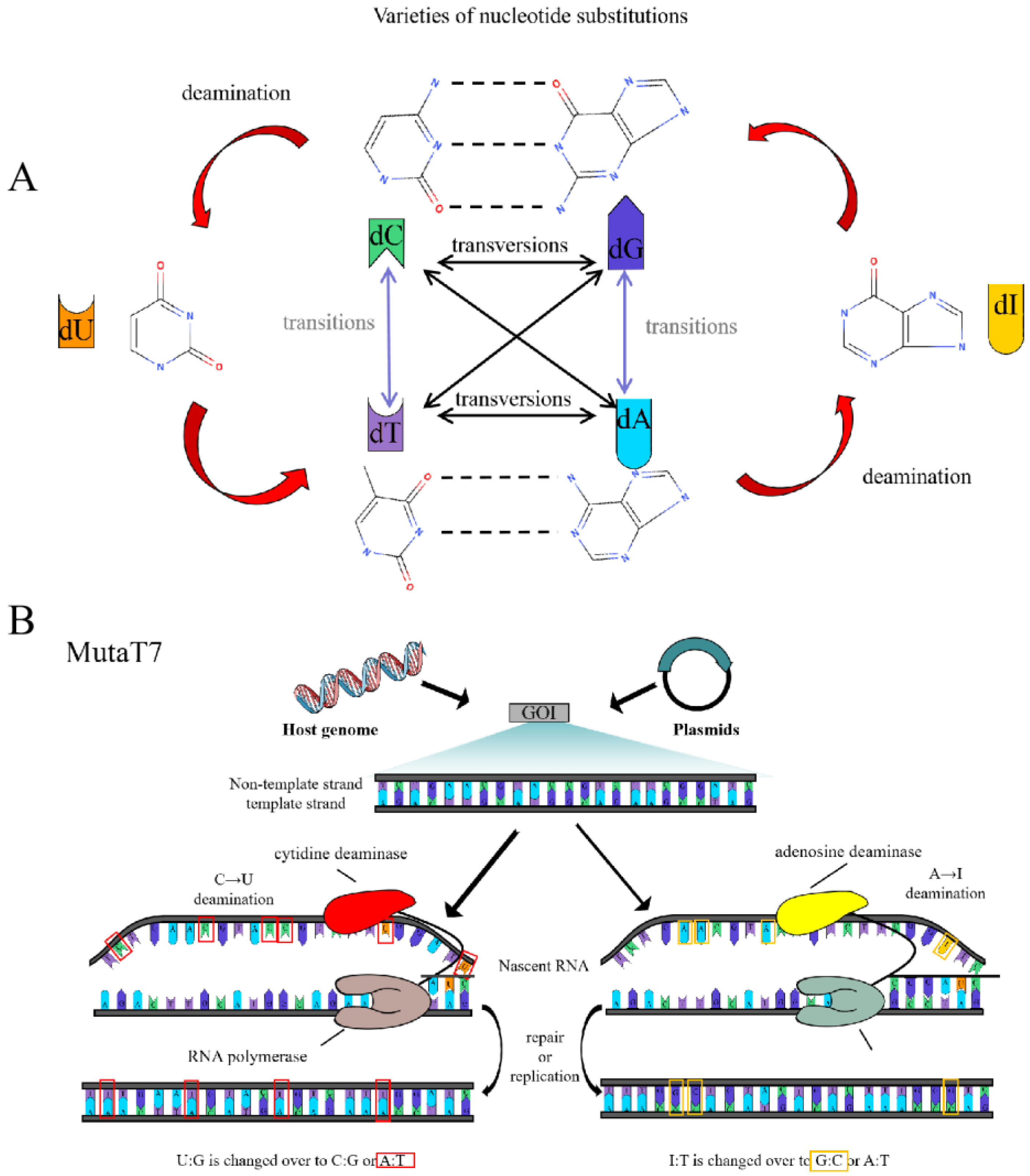 Catalysts 15 01127 g004 Catalysts 15 01127 g004