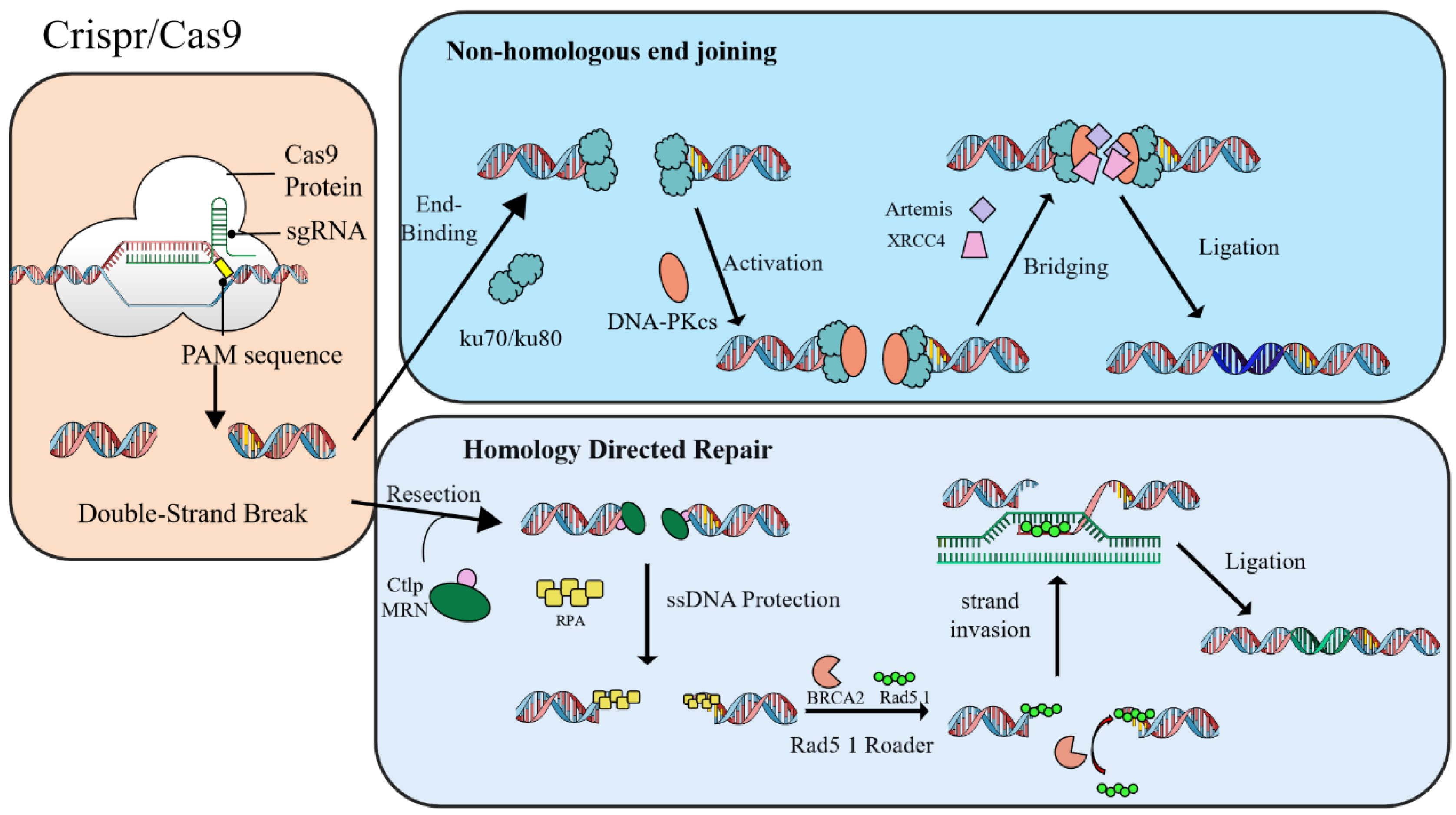 Catalysts 15 01127 g005 Catalysts 15 01127 g005