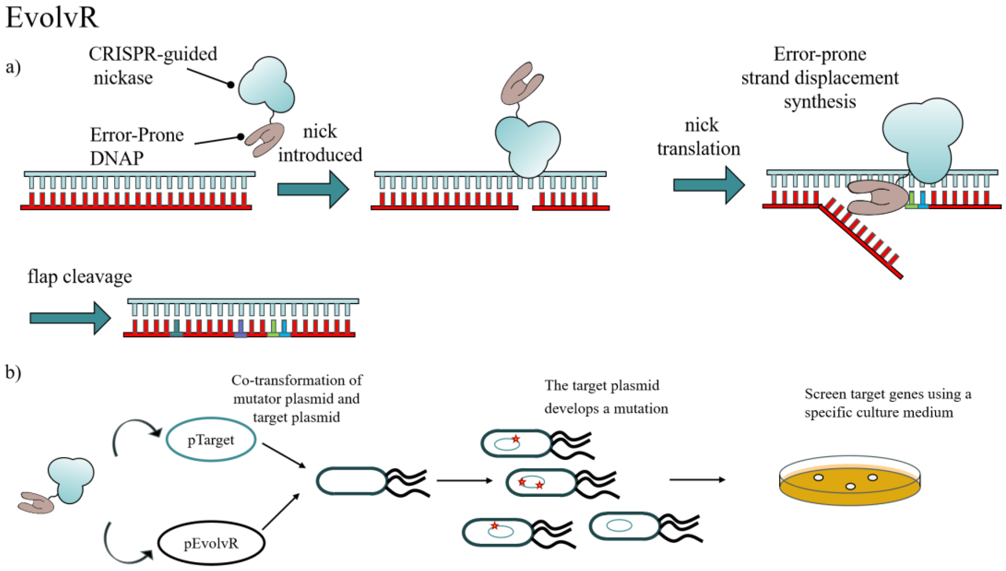 Catalysts 15 01127 g006 Catalysts 15 01127 g006