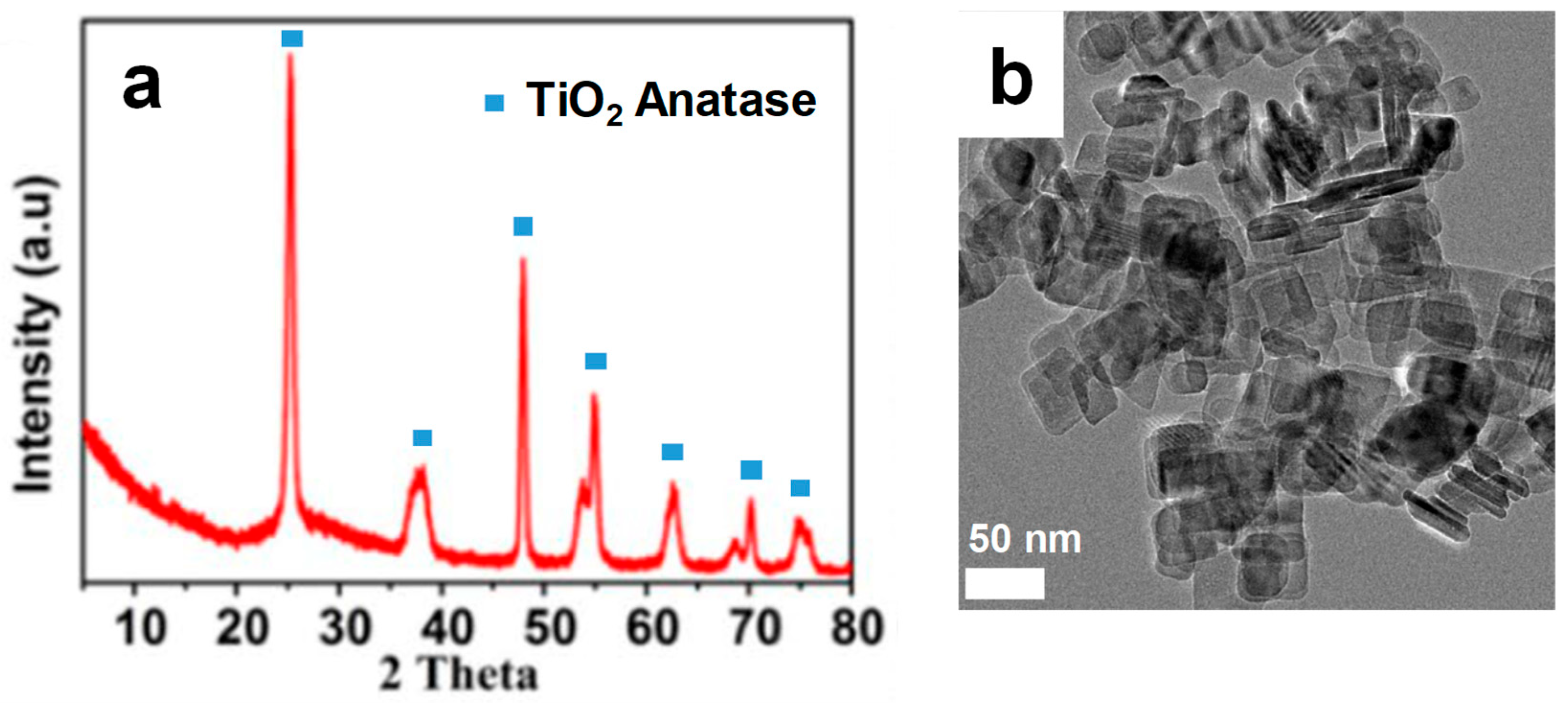 Catalysts 15 01128 g001 Catalysts 15 01128 g001
