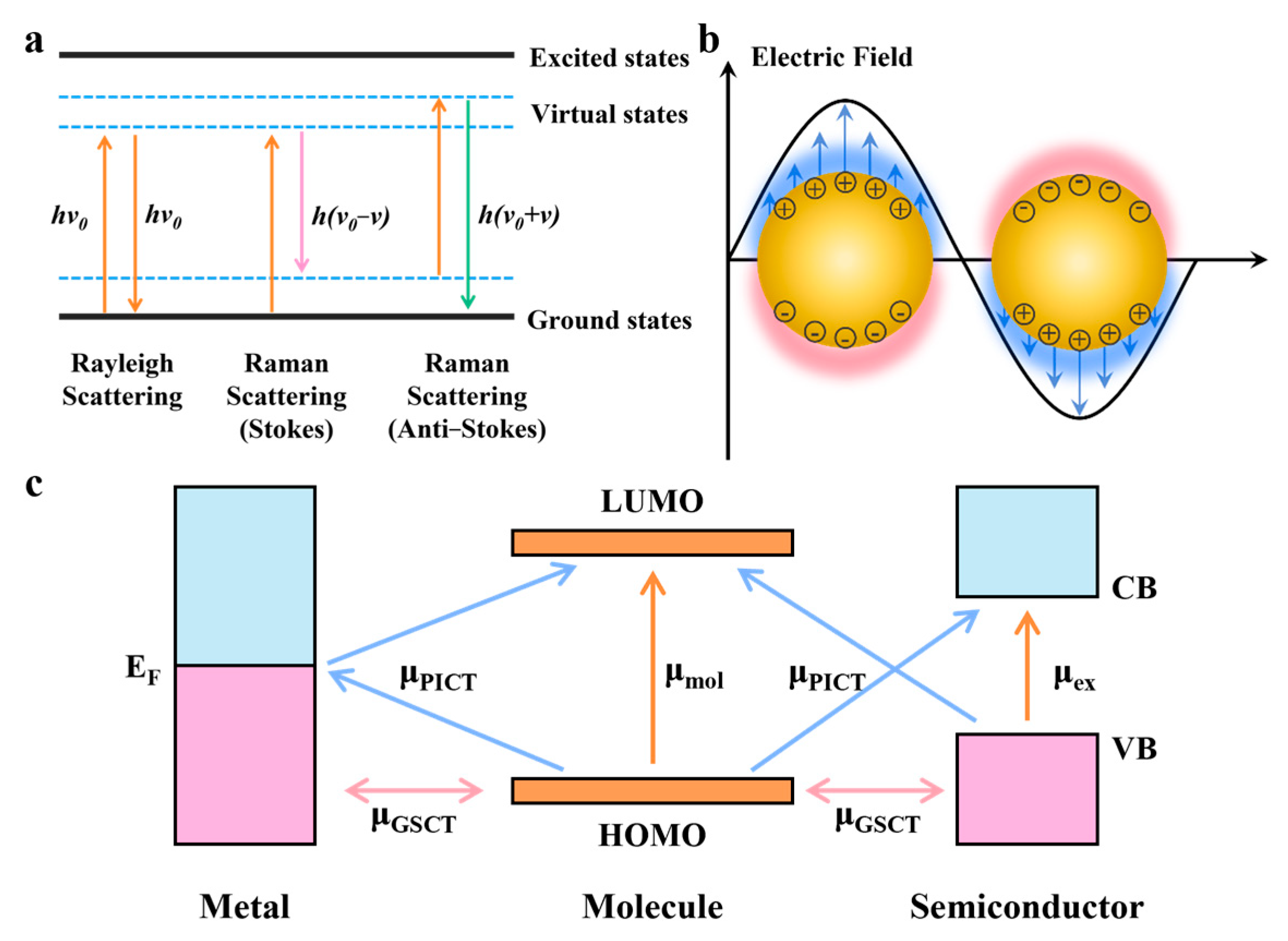 Catalysts 15 01131 g001