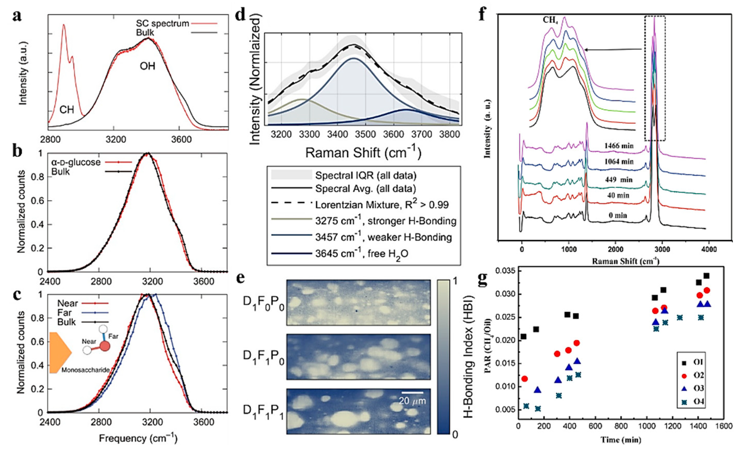 Catalysts 15 01131 g006