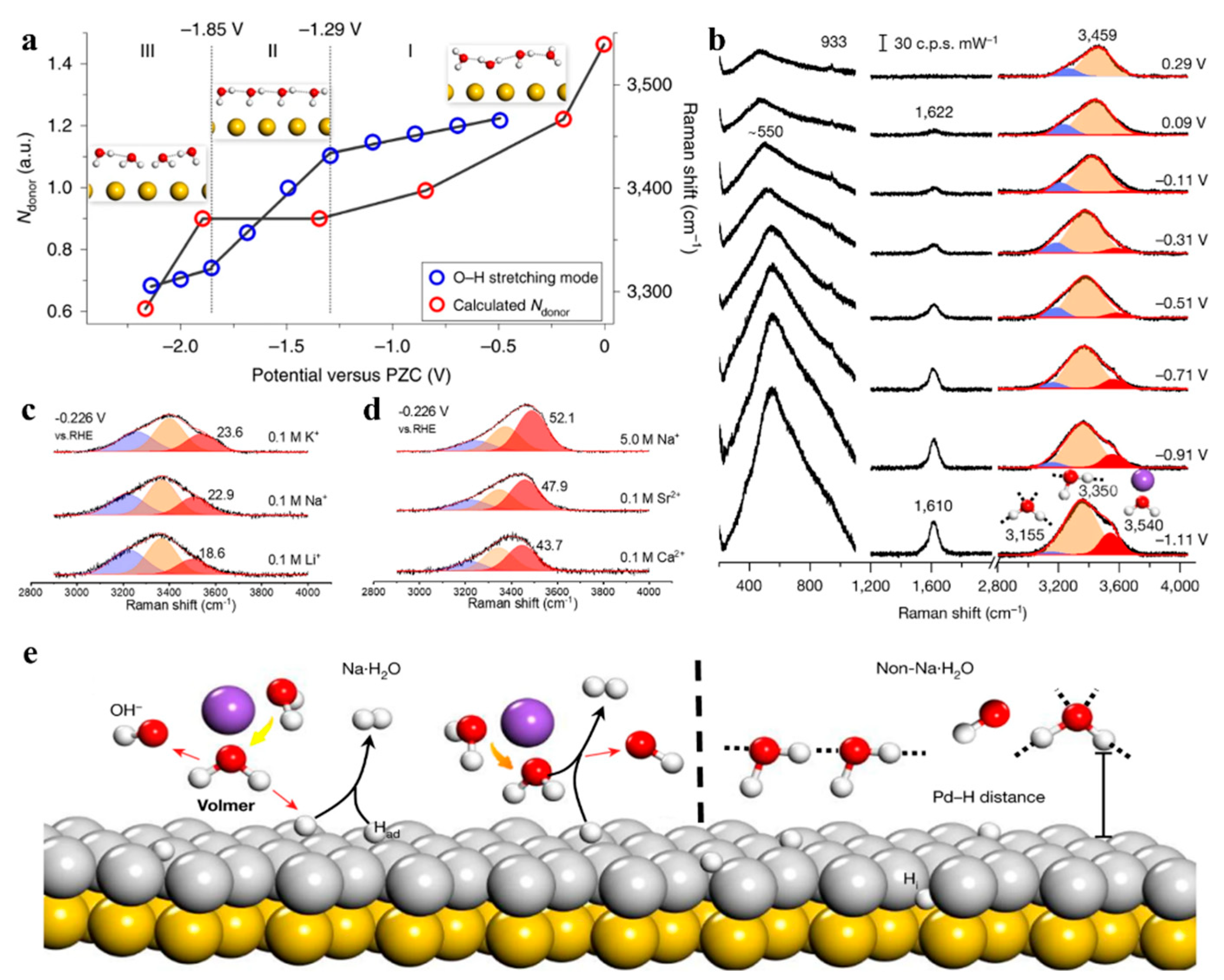 Catalysts 15 01131 g008