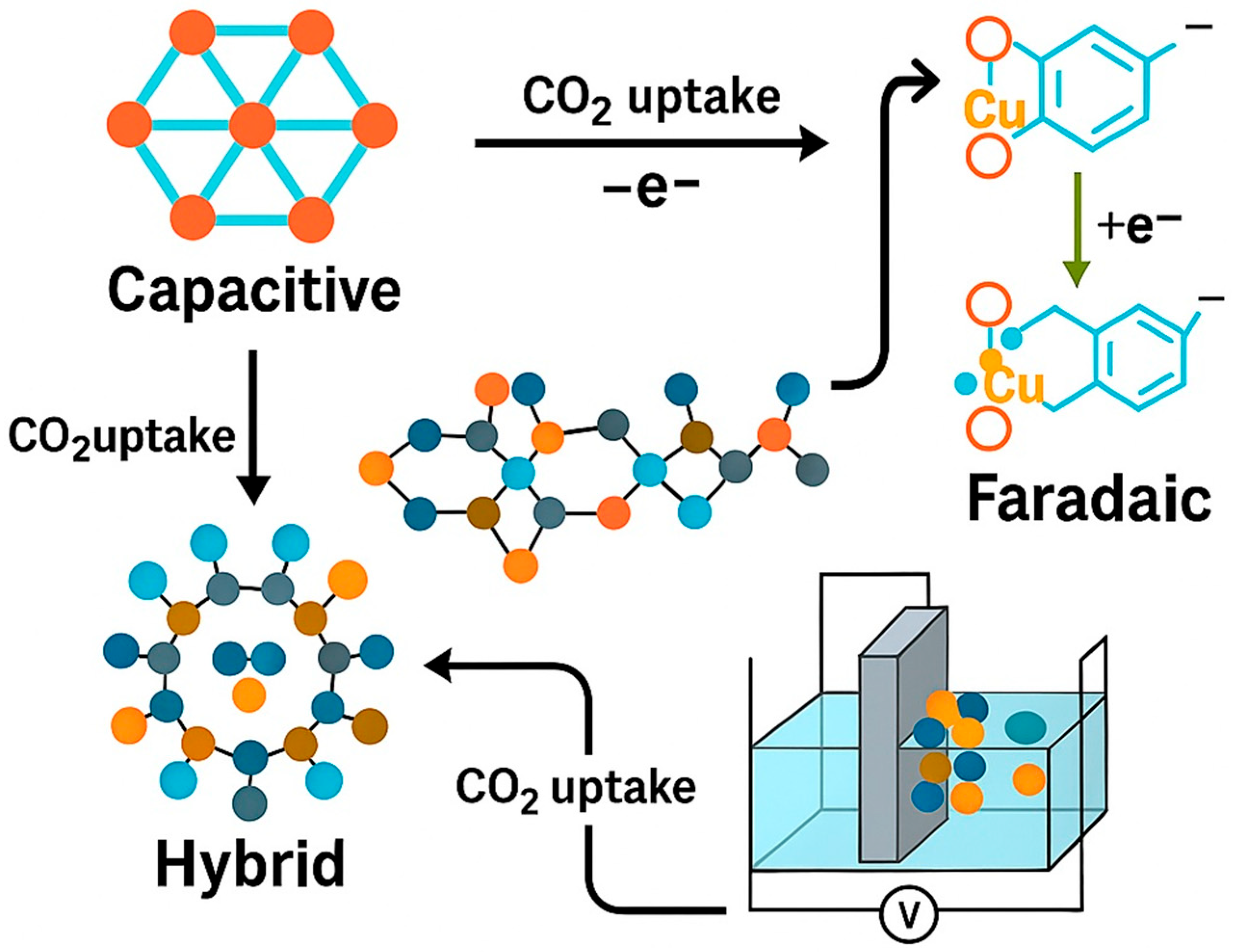 Catalysts 15 01134 g003
