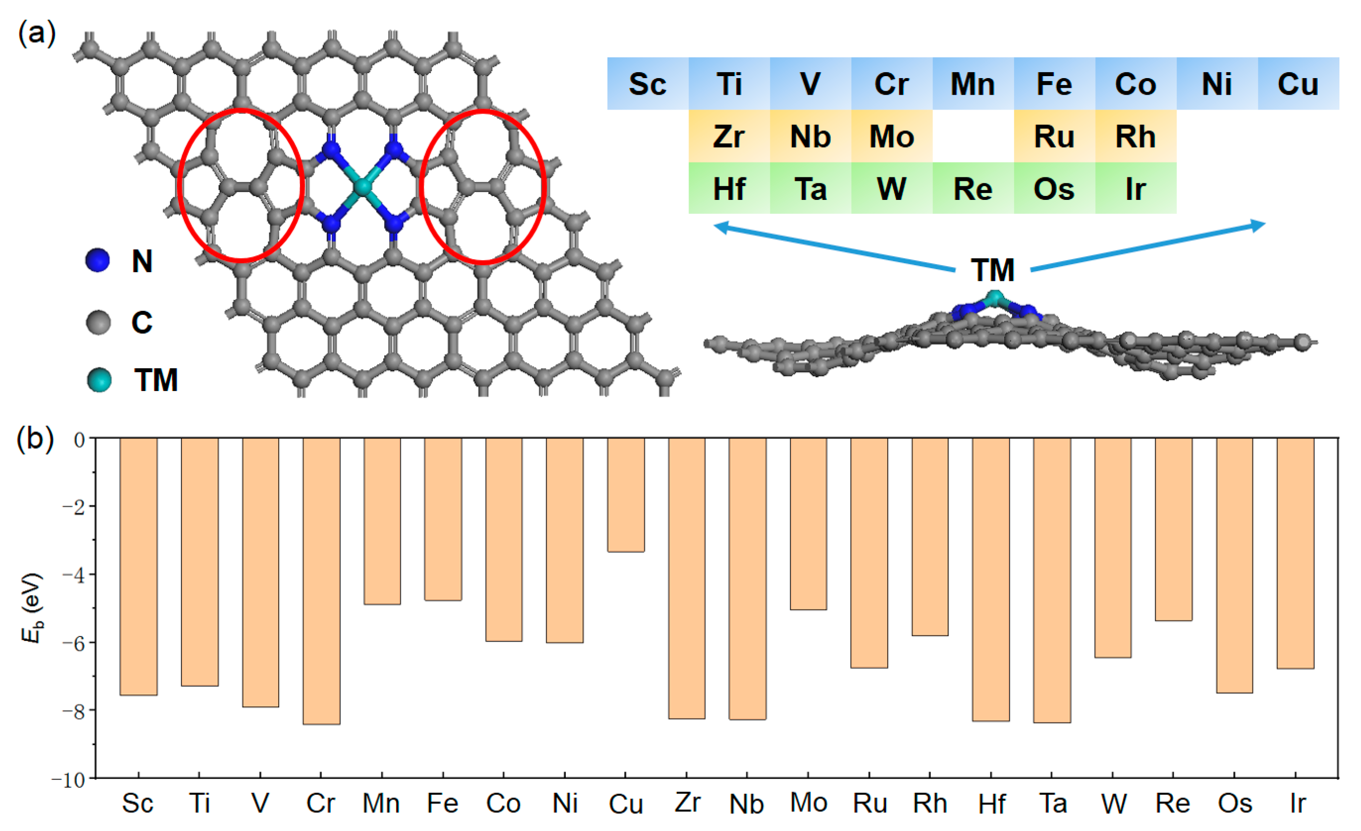 Catalysts 15 01135 g001