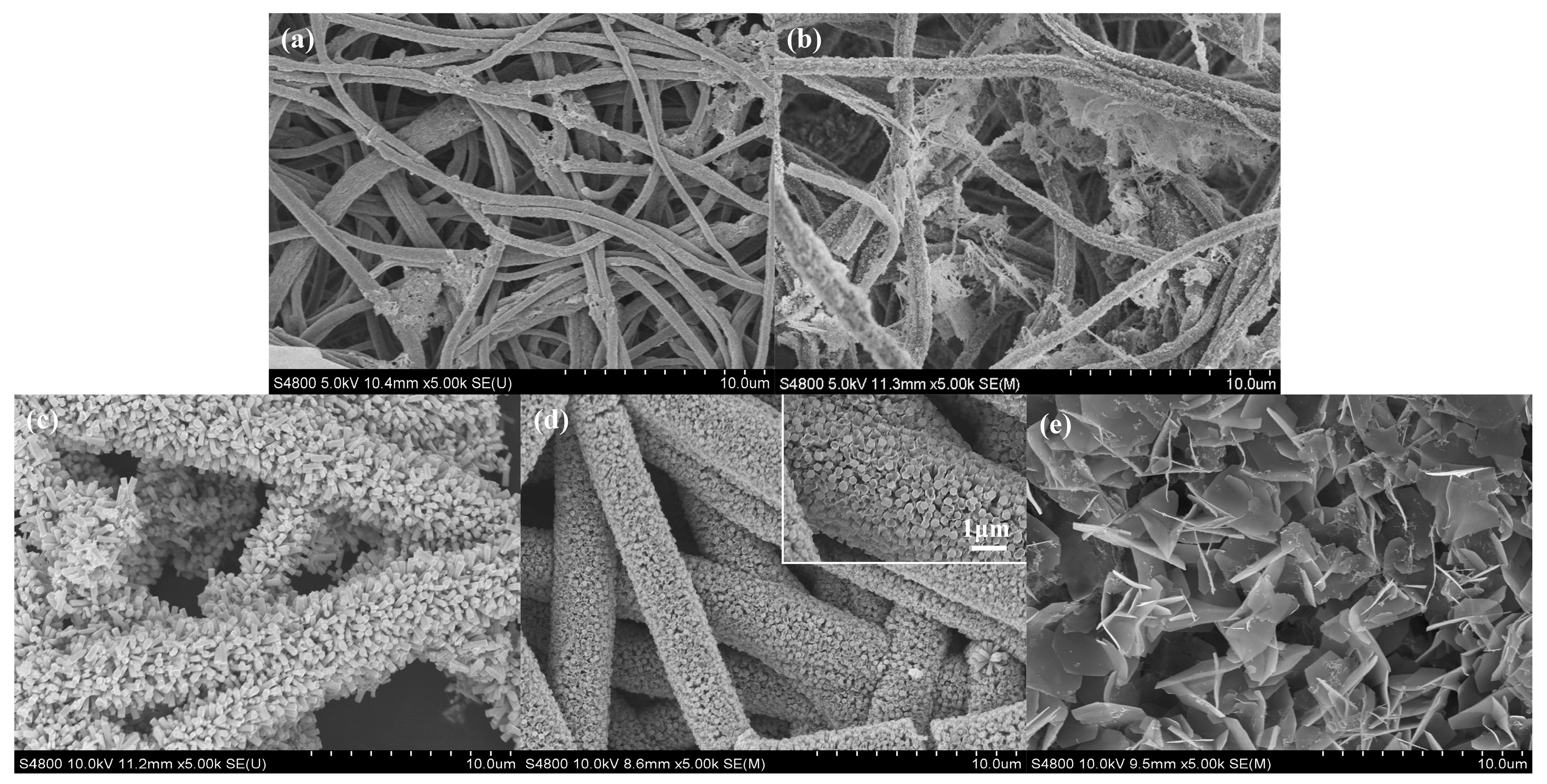Catalysts 15 01137 g003