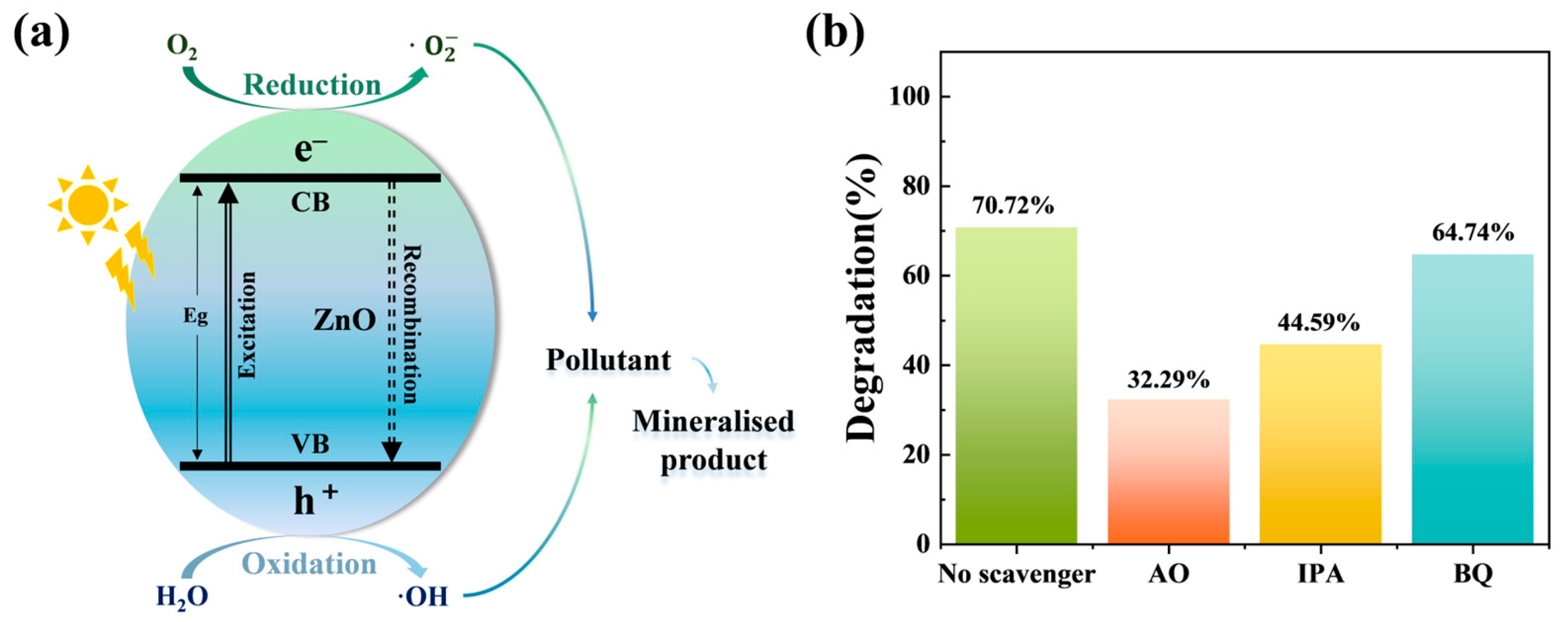 Catalysts 15 01137 g008