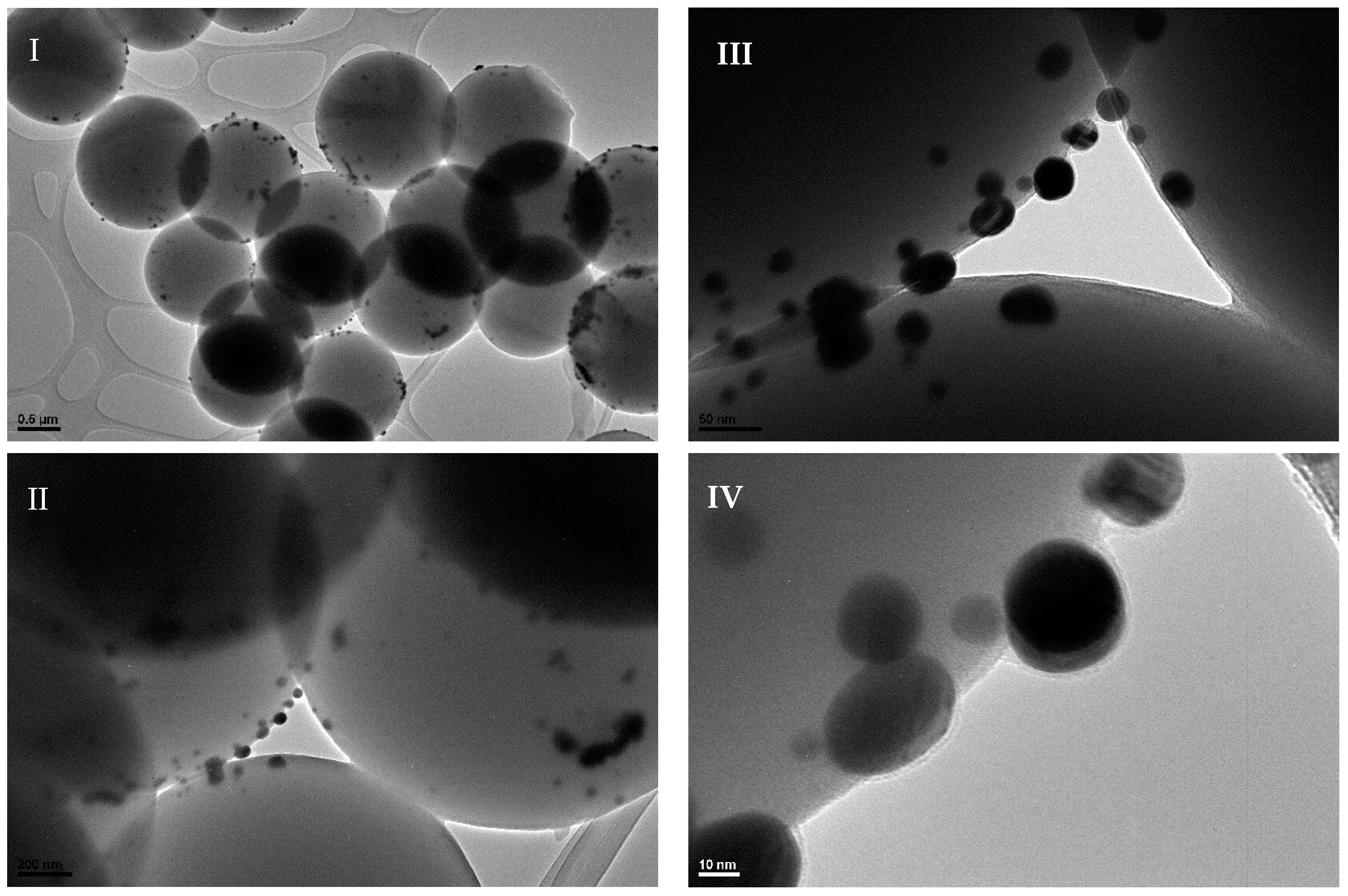 Catalysts 15 01141 g001