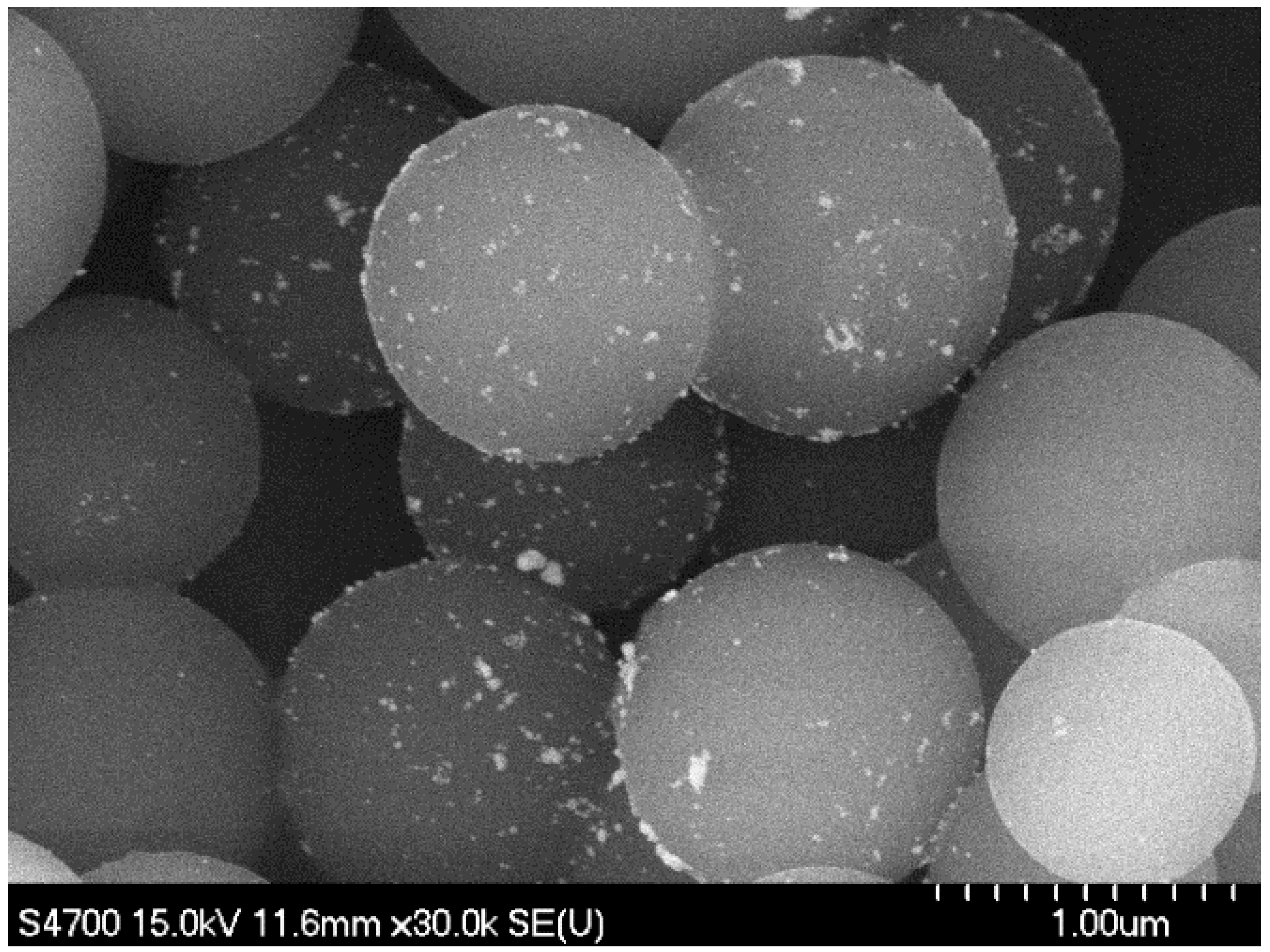 Catalysts 15 01141 g002