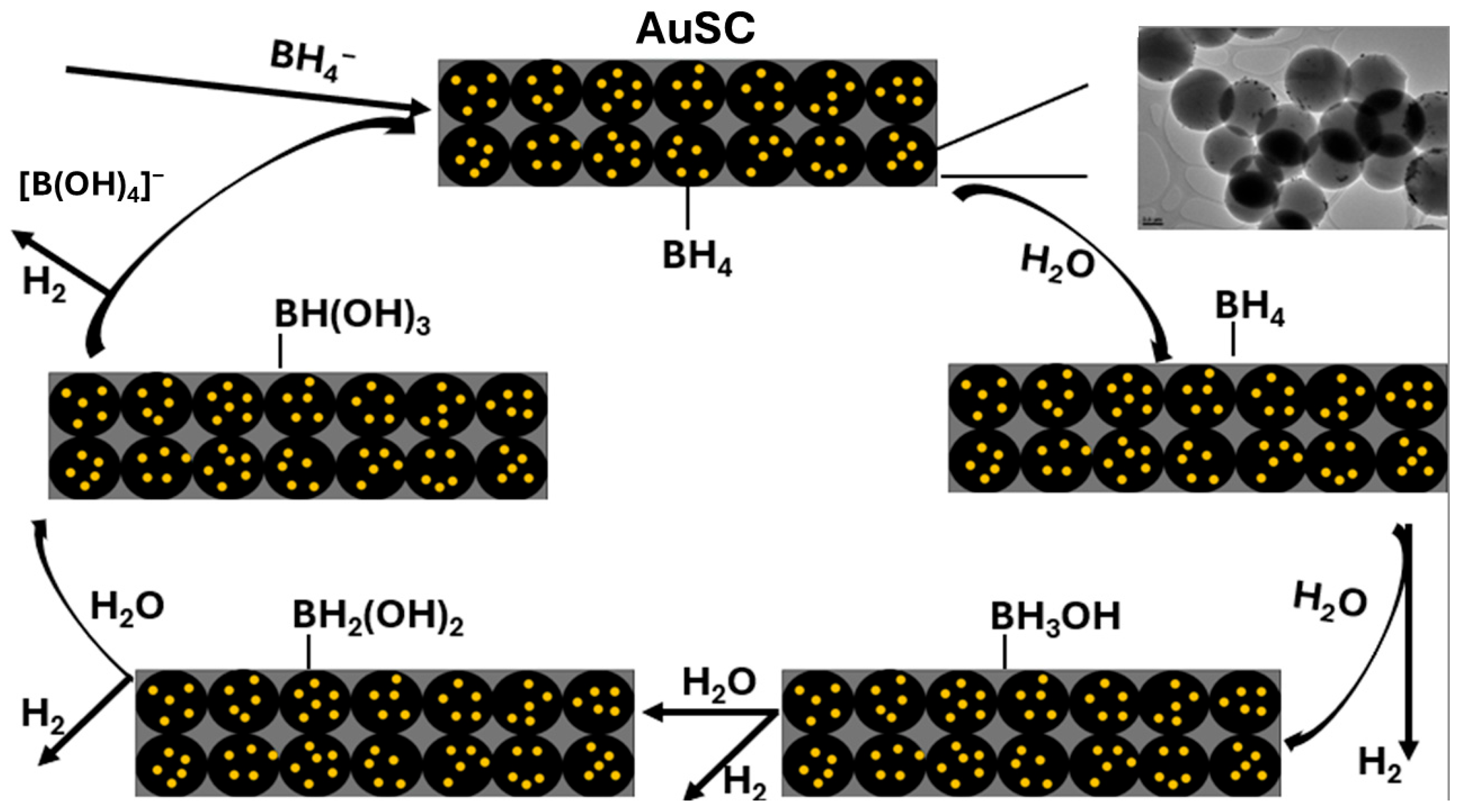 Catalysts 15 01141 sch001