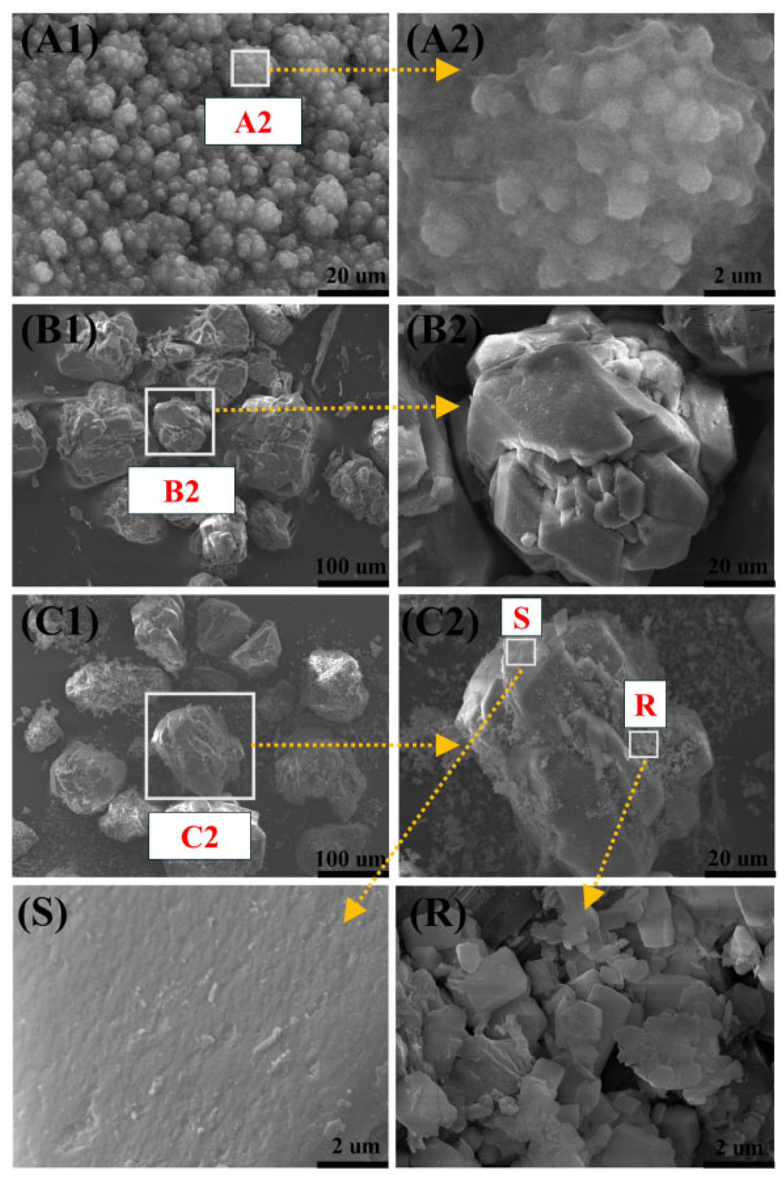 Catalysts 15 01142 g007