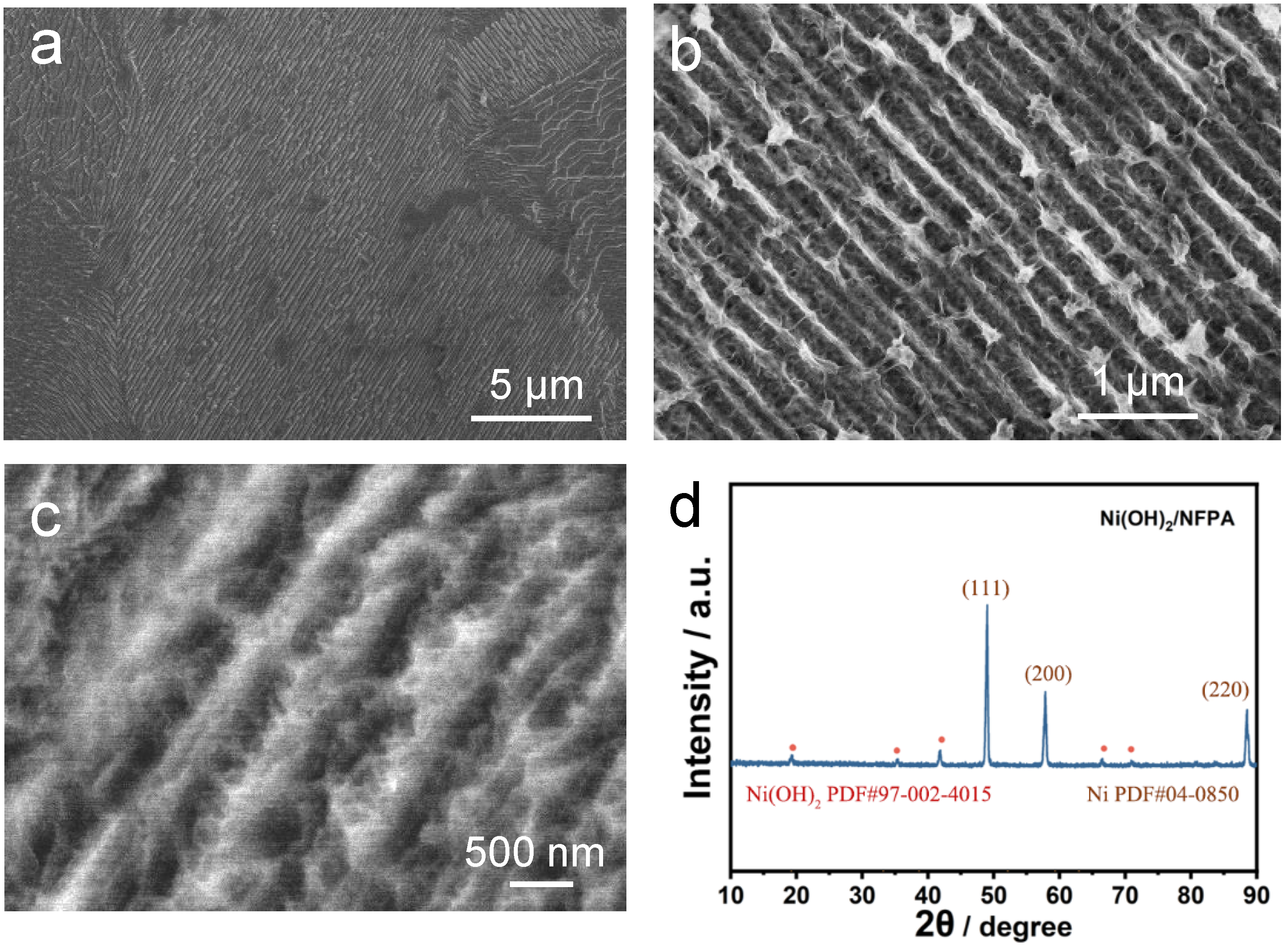 Catalysts 15 01144 g002
