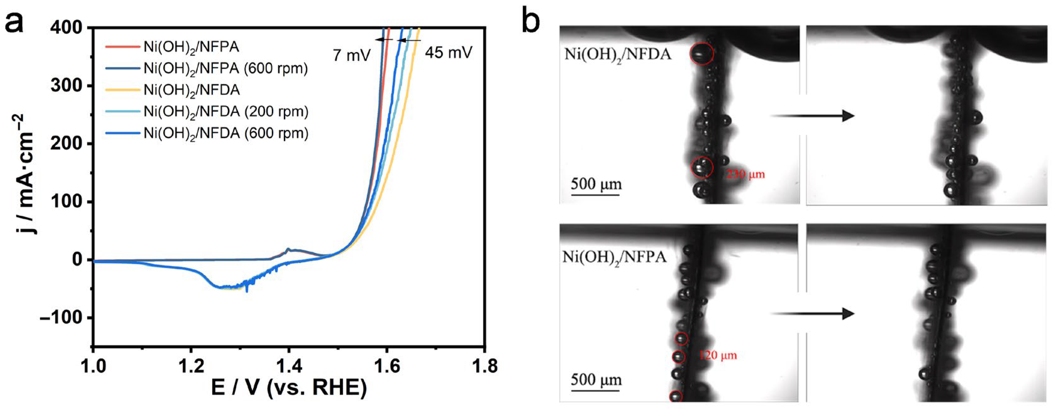 Catalysts 15 01144 g005