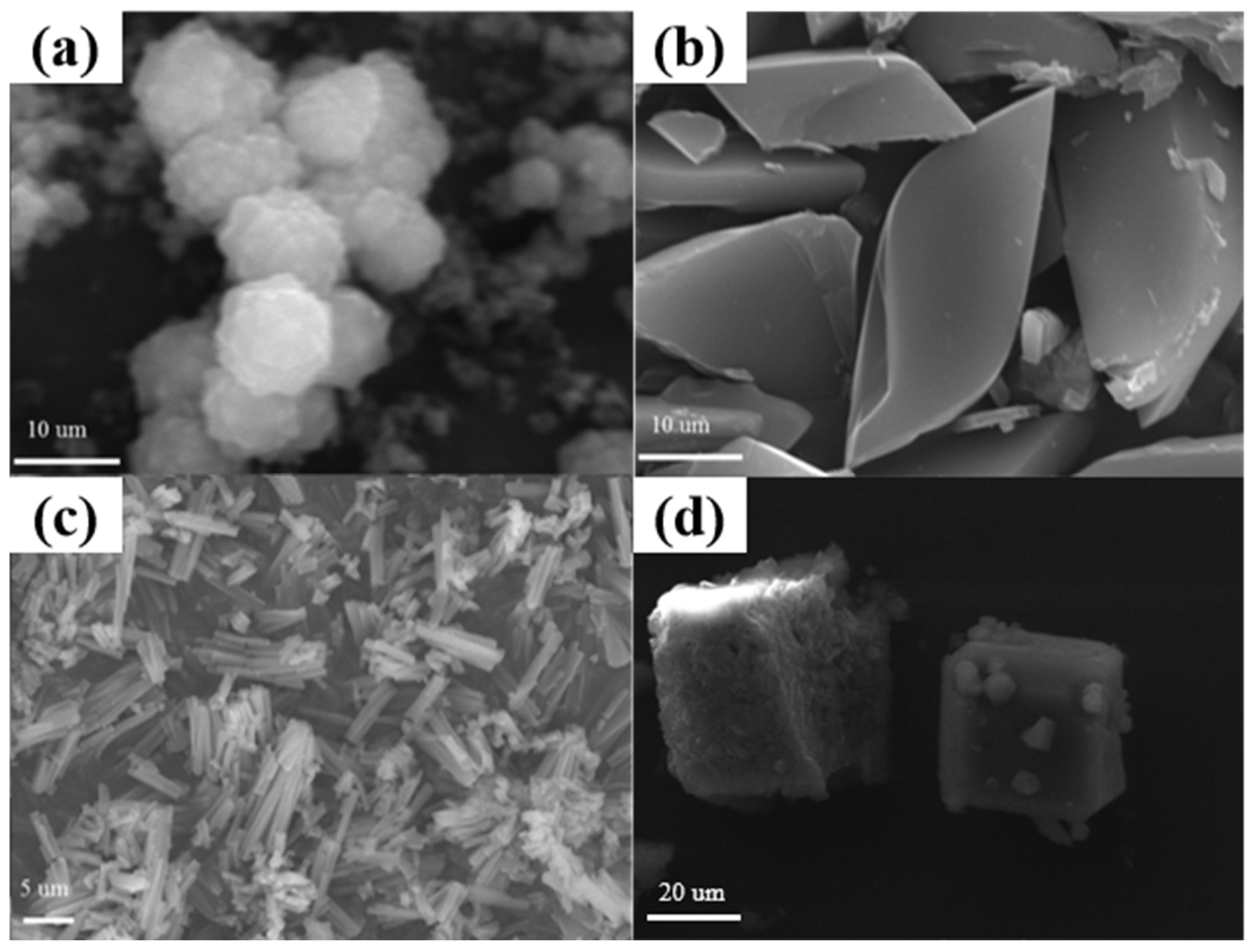 Catalysts 15 01145 g002 Catalysts 15 01145 g002