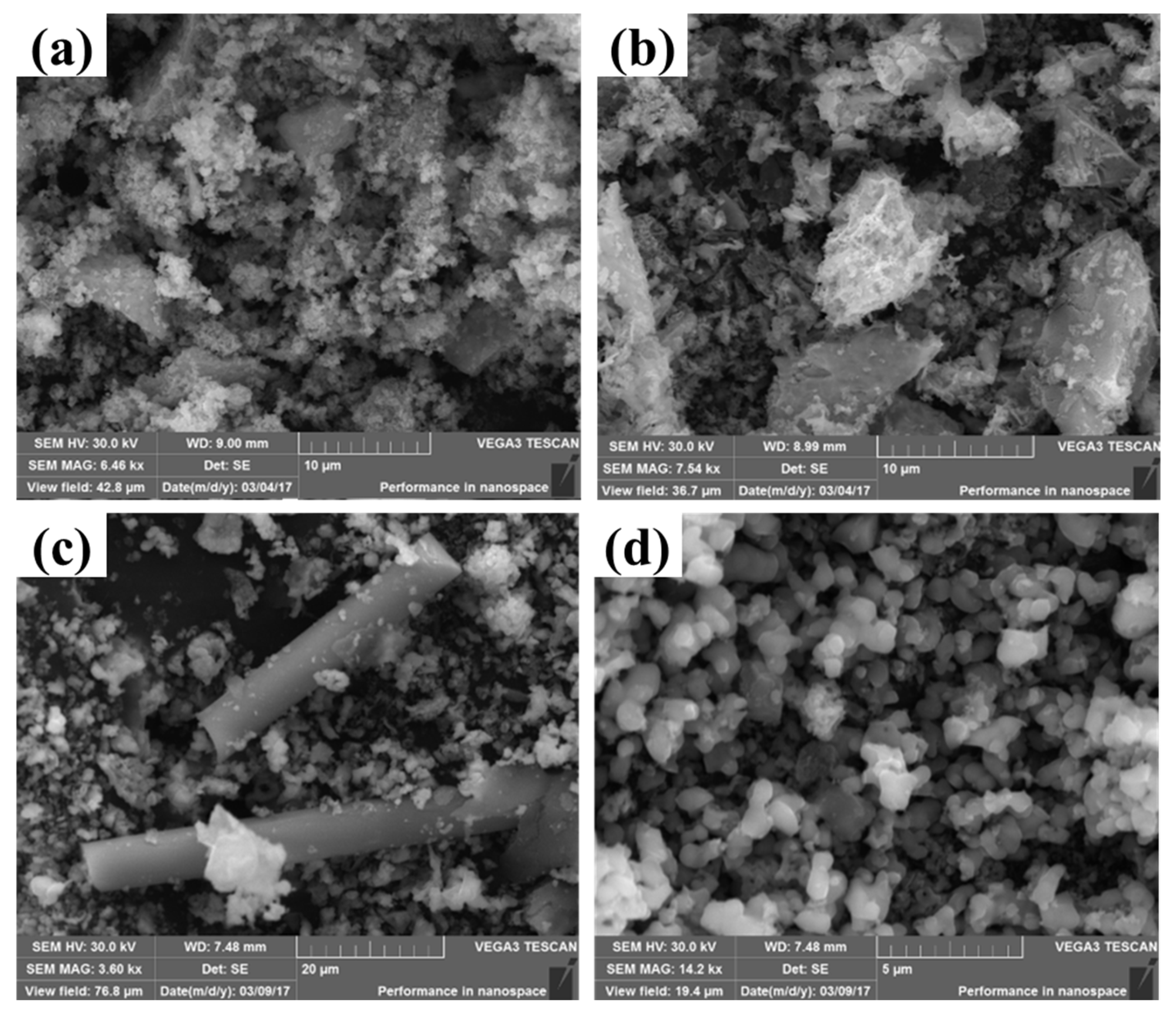 Catalysts 15 01145 g005 Catalysts 15 01145 g005