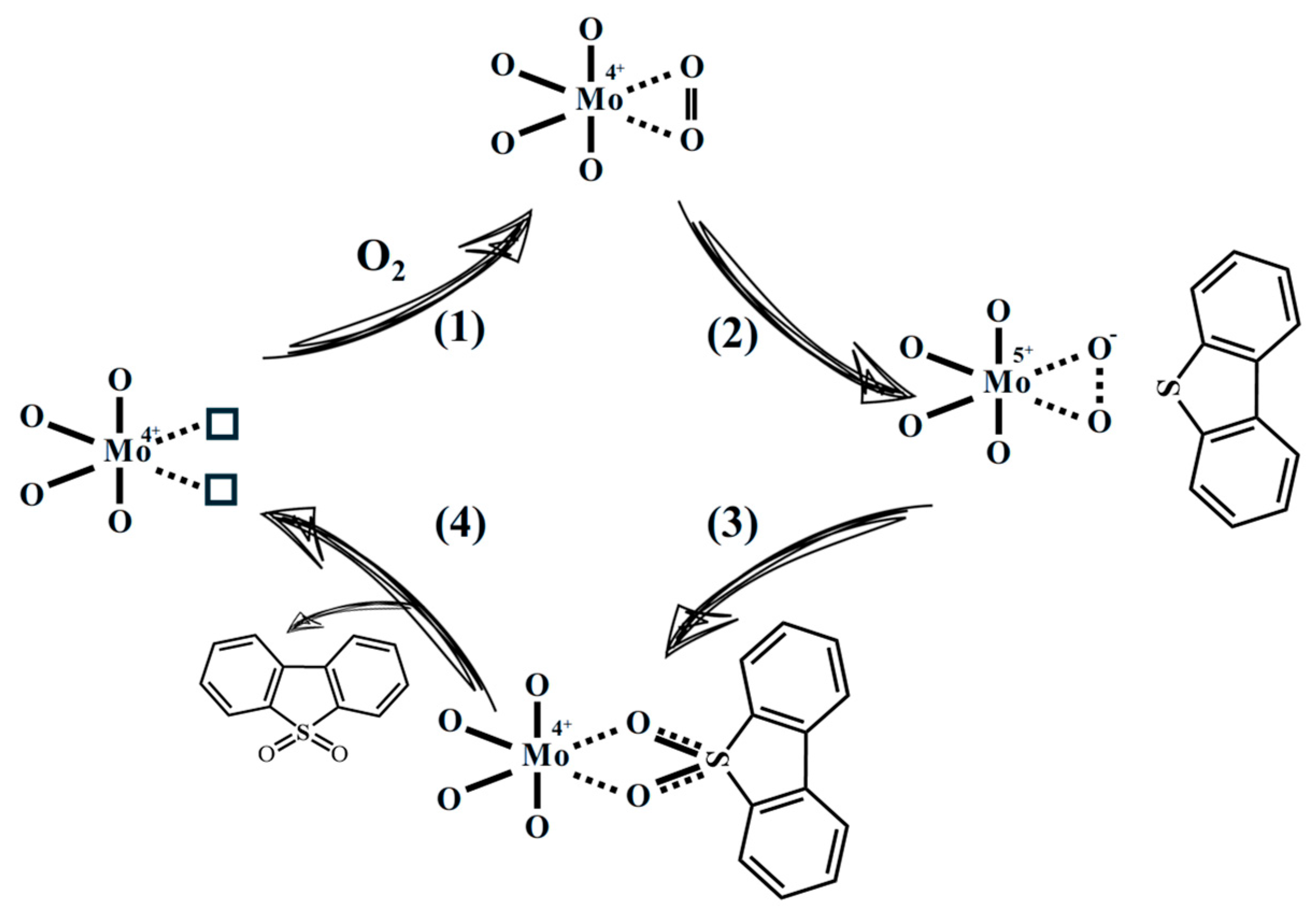 Catalysts 15 01146 sch001