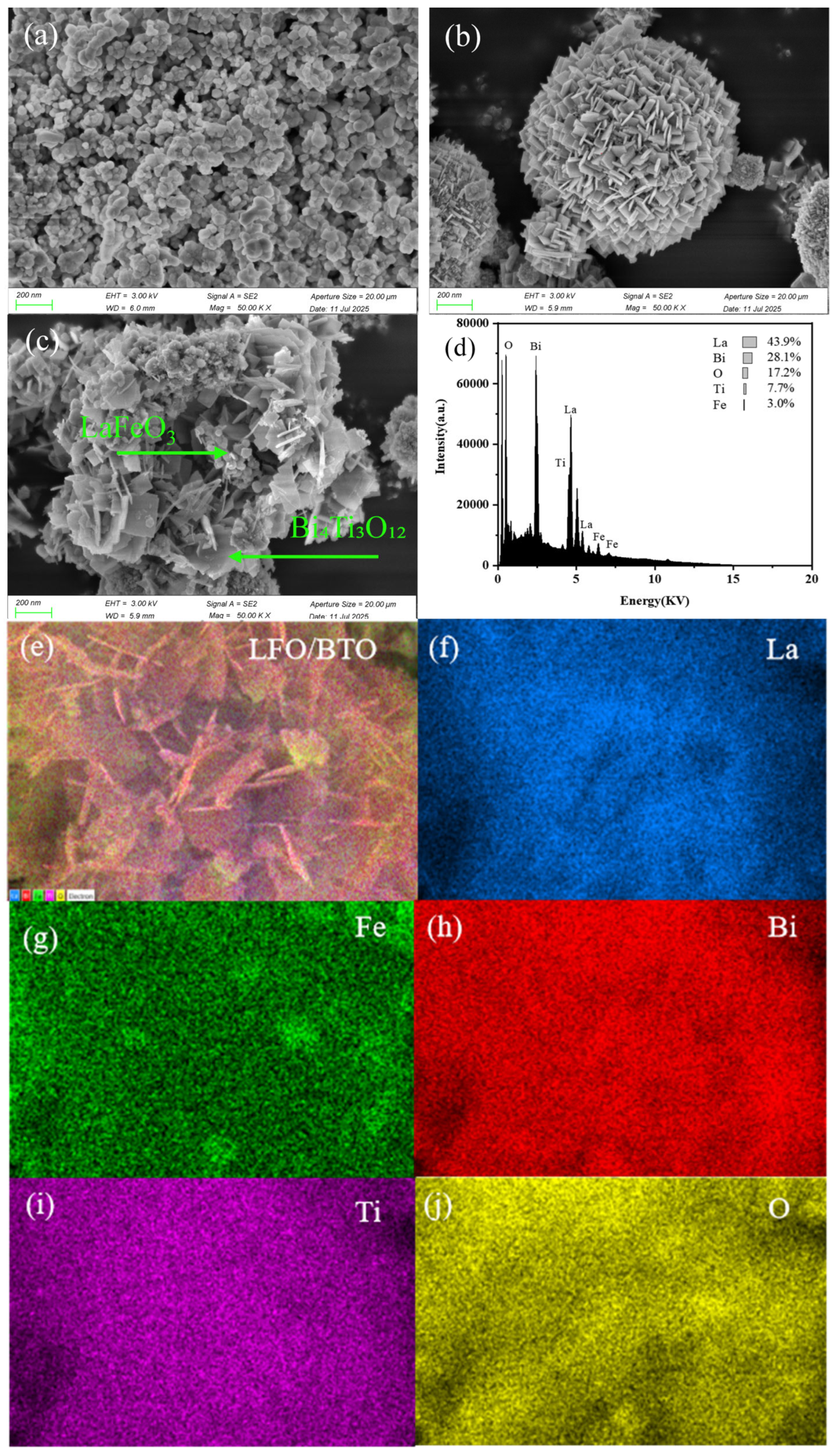 Catalysts 15 01147 g002 Catalysts 15 01147 g002
