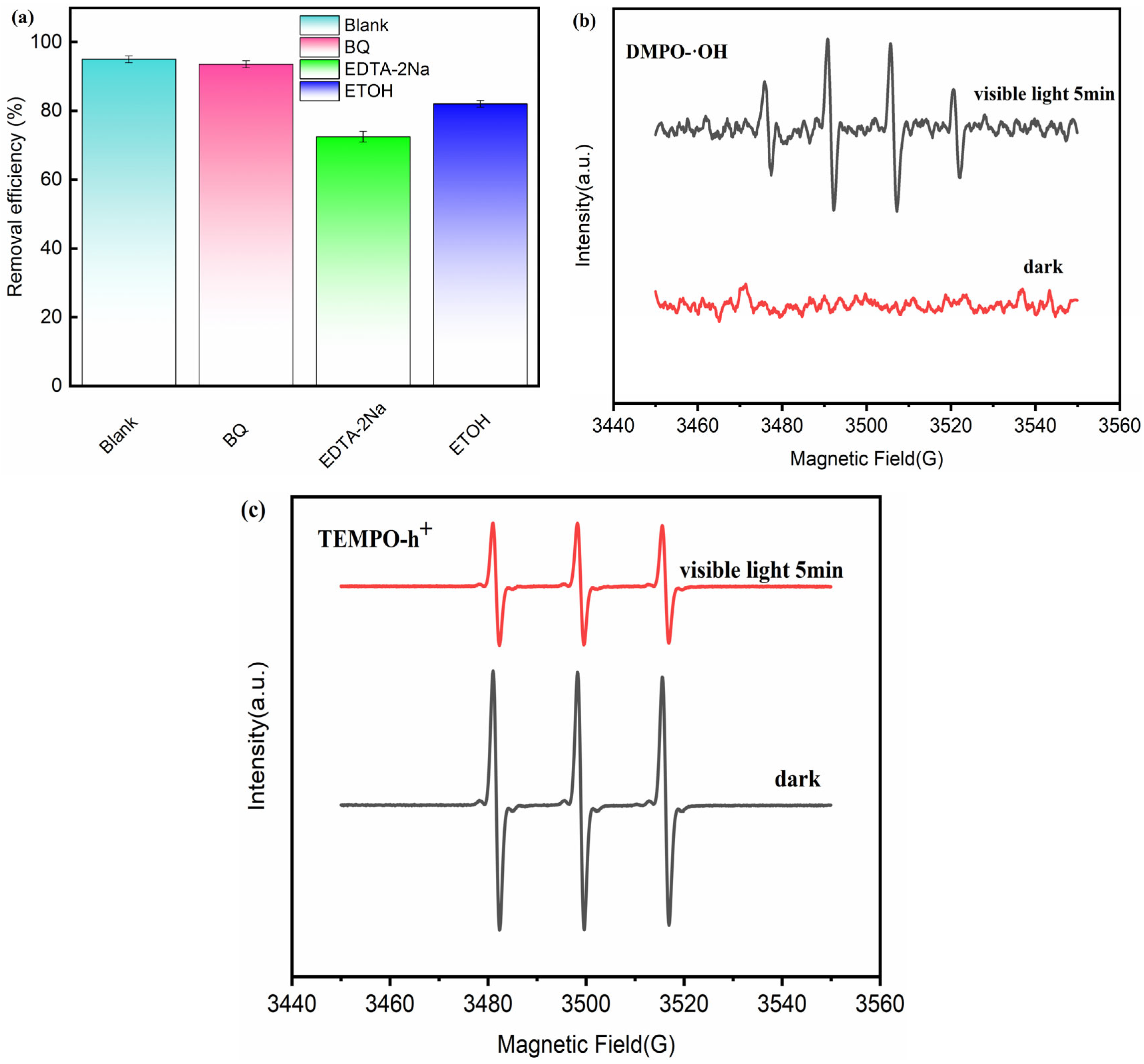 Catalysts 15 01147 g008 Catalysts 15 01147 g008