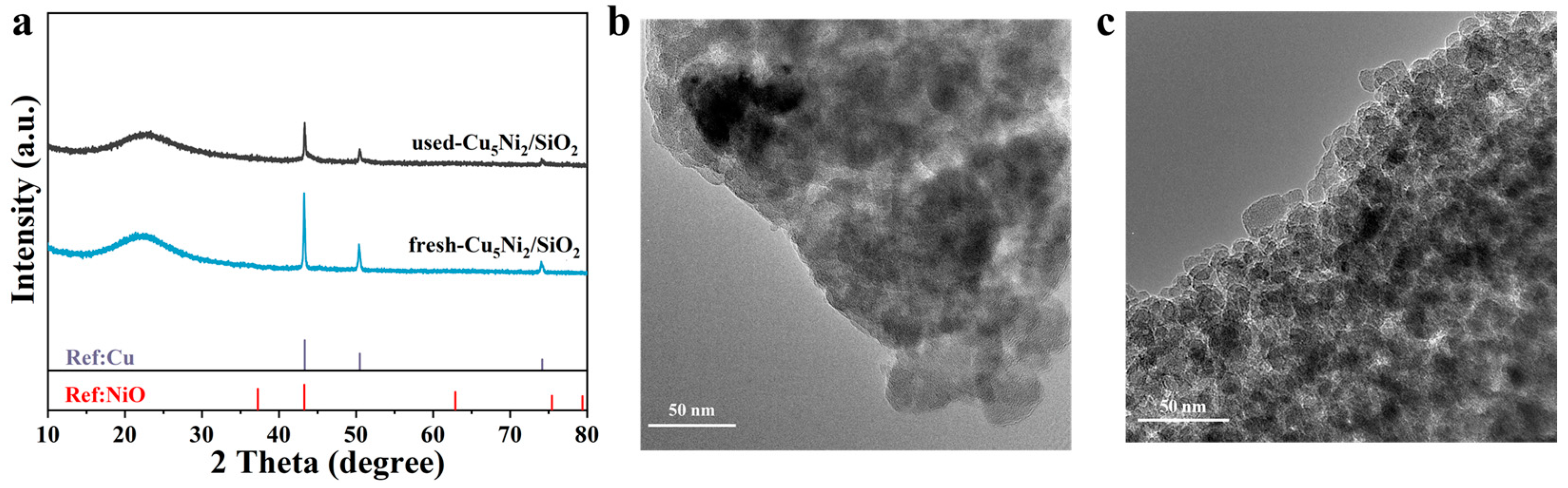 Catalysts 15 01151 g007