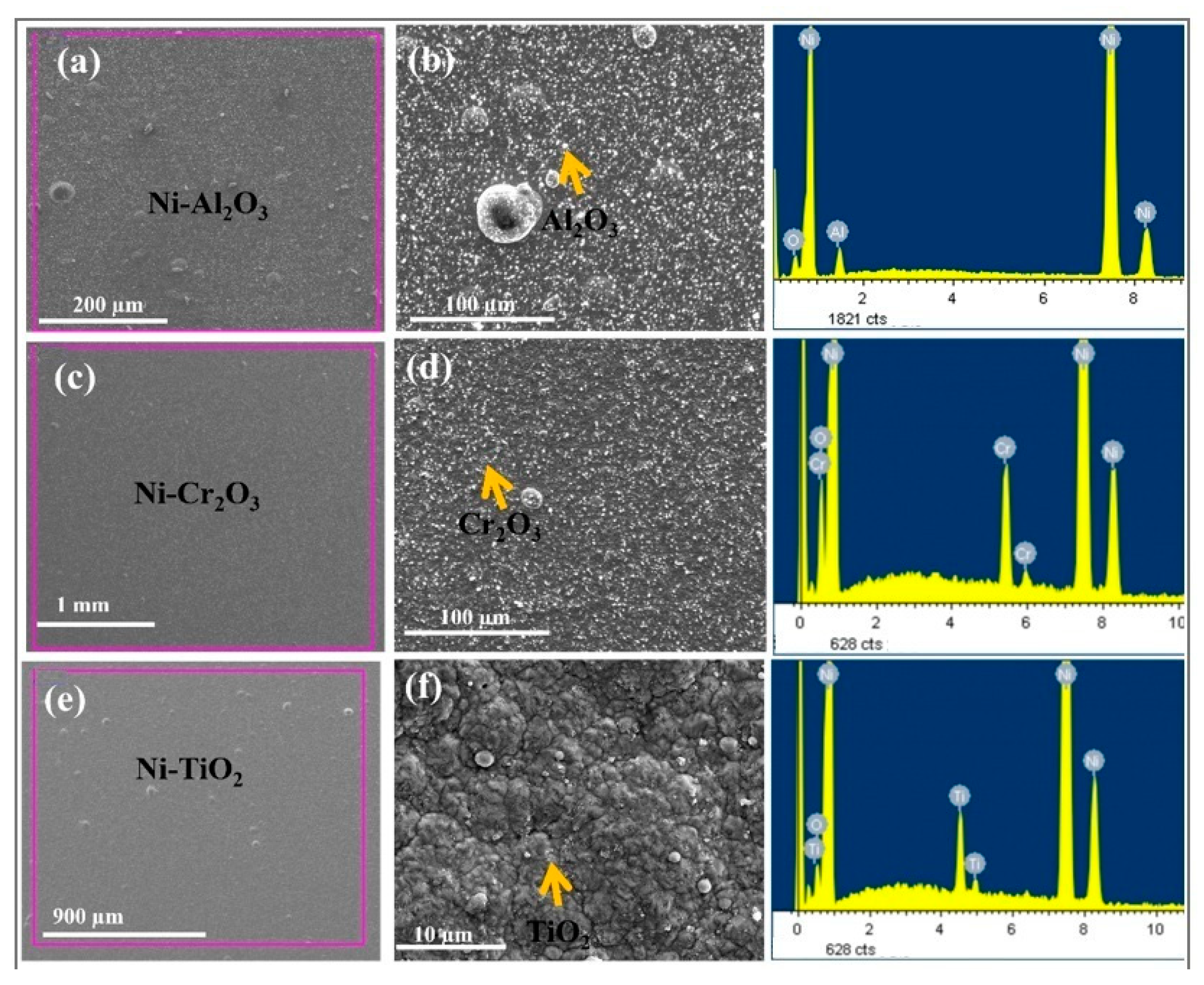 Catalysts 15 01153 g010