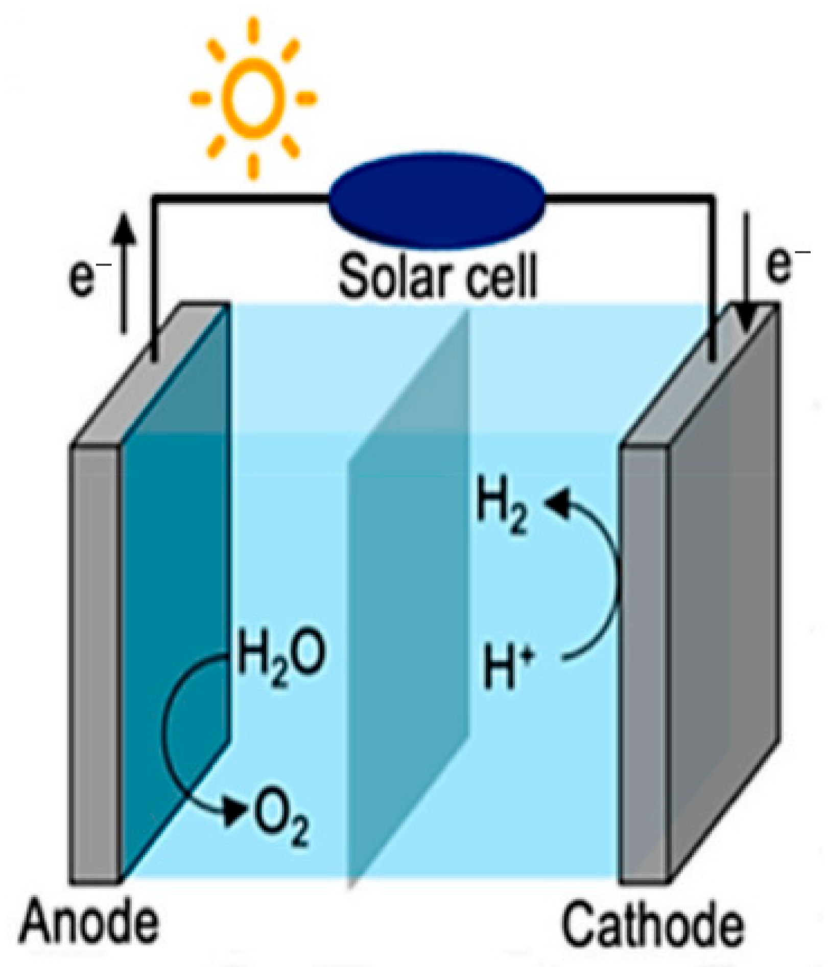 Catalysts 15 01155 g002