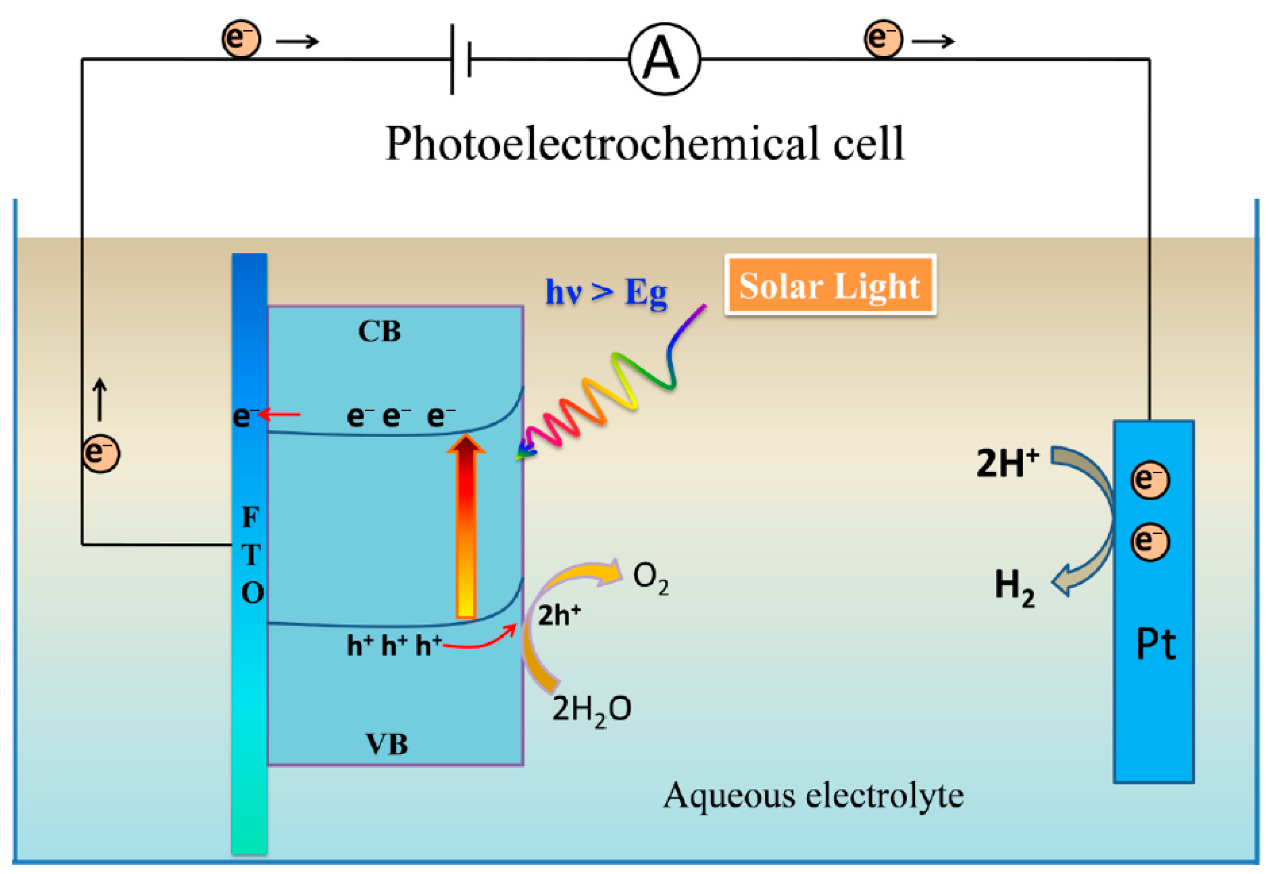 Catalysts 15 01155 g004