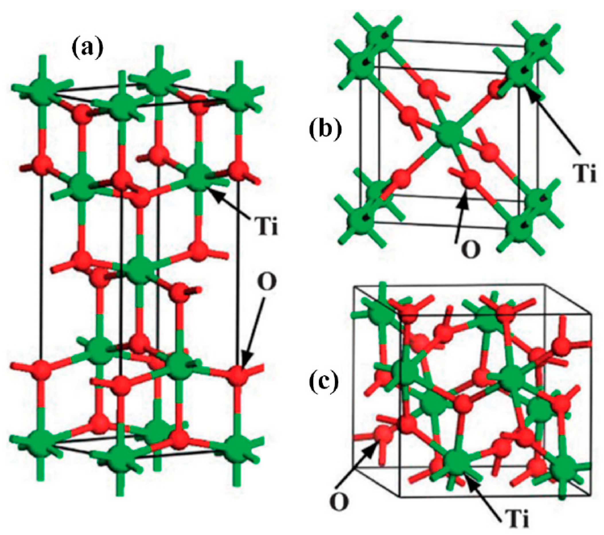 Catalysts 15 01155 g005