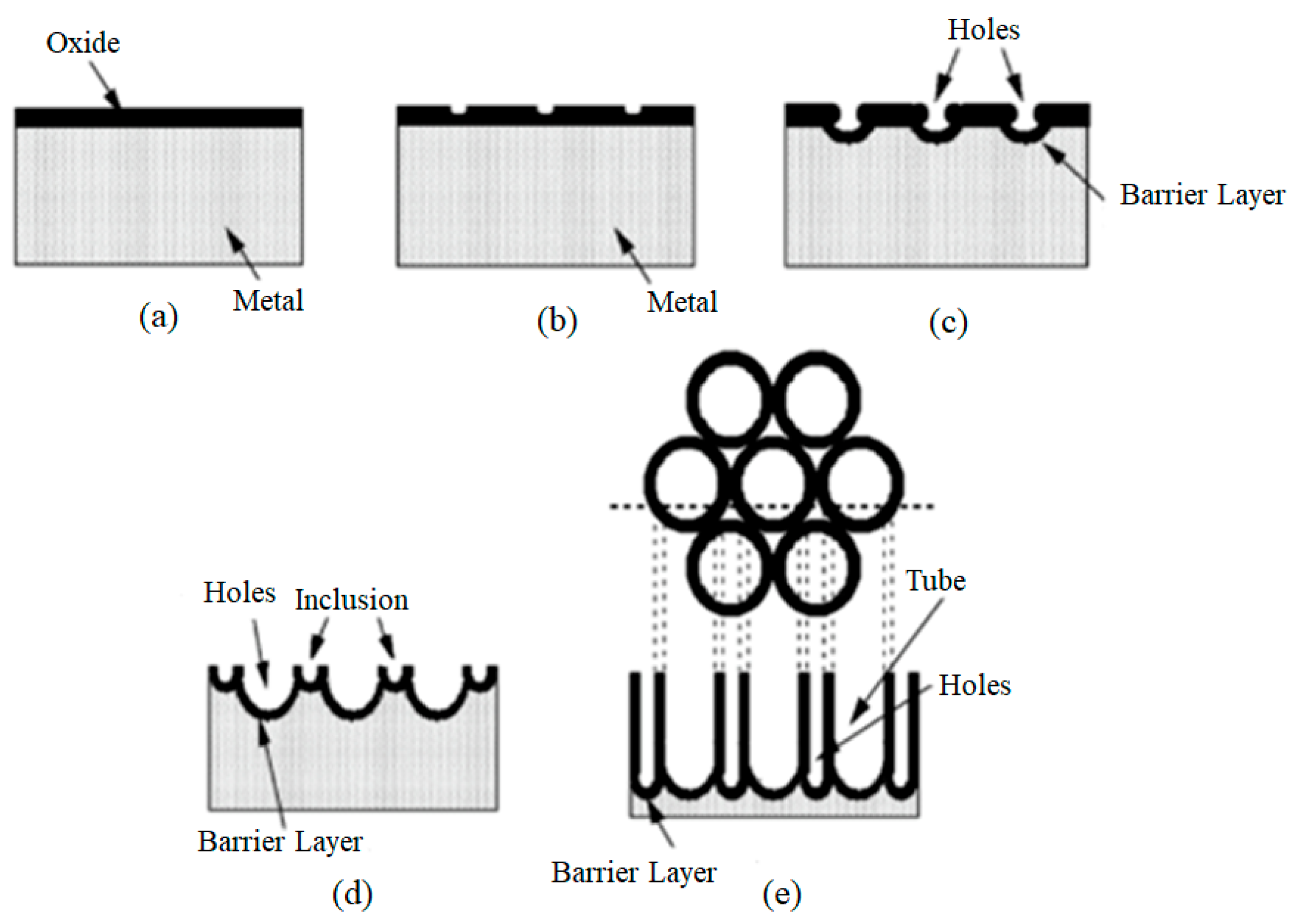 Catalysts 15 01155 g008
