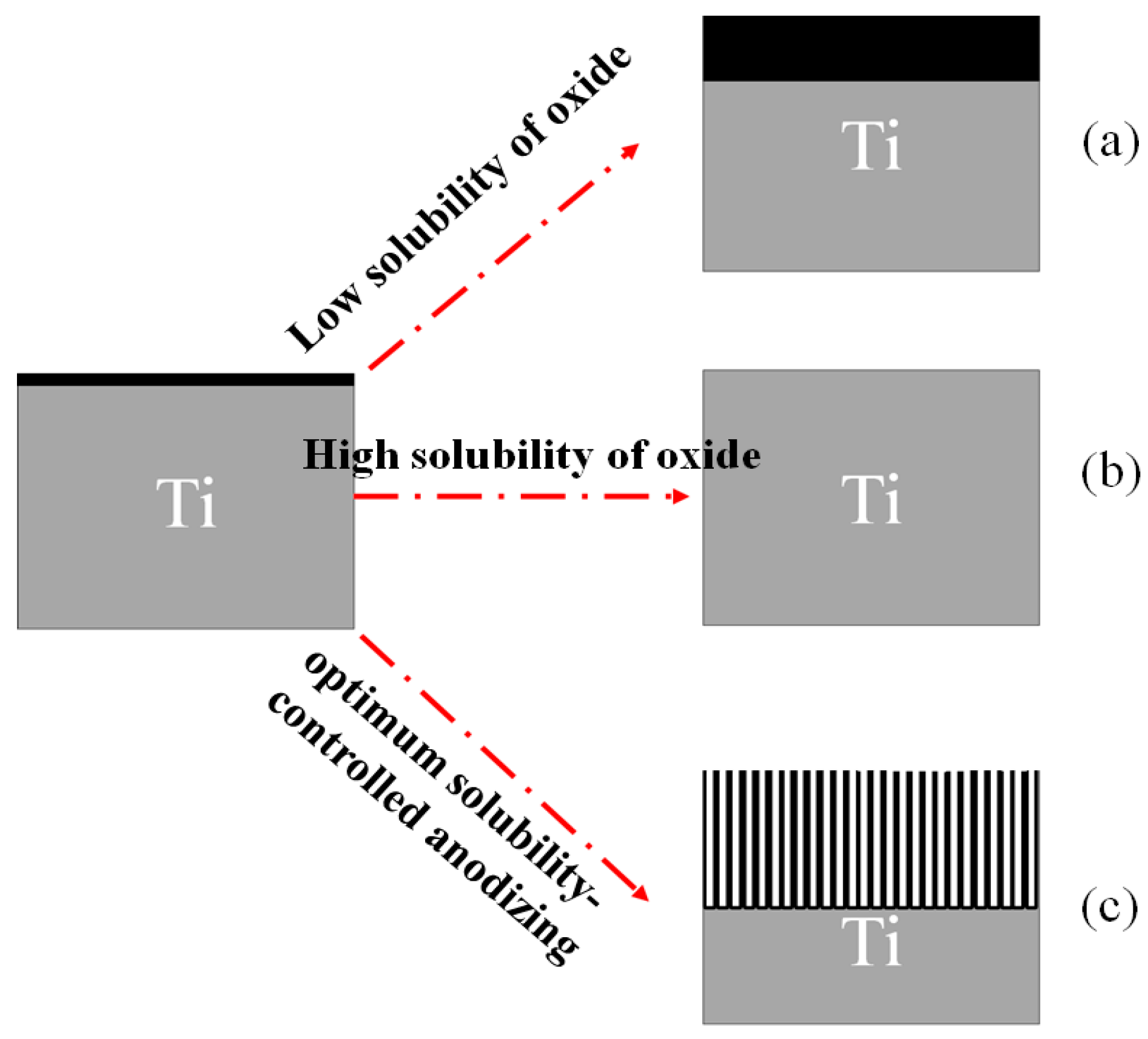 Catalysts 15 01155 g010