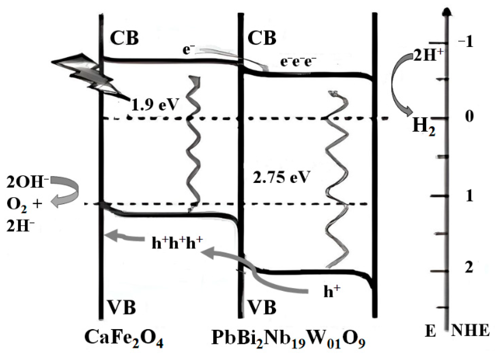 Catalysts 15 01155 g012
