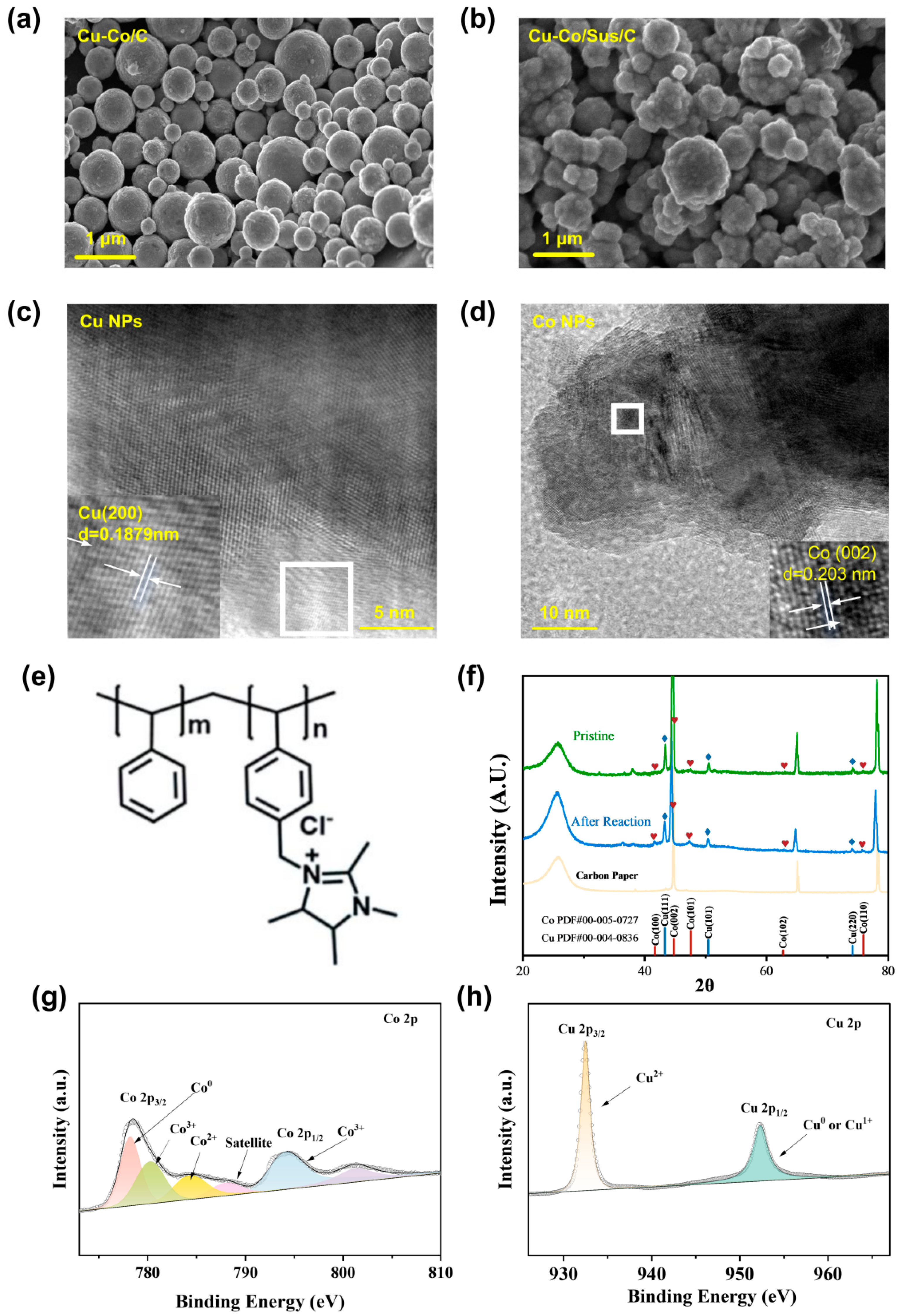 Catalysts 15 01156 g001