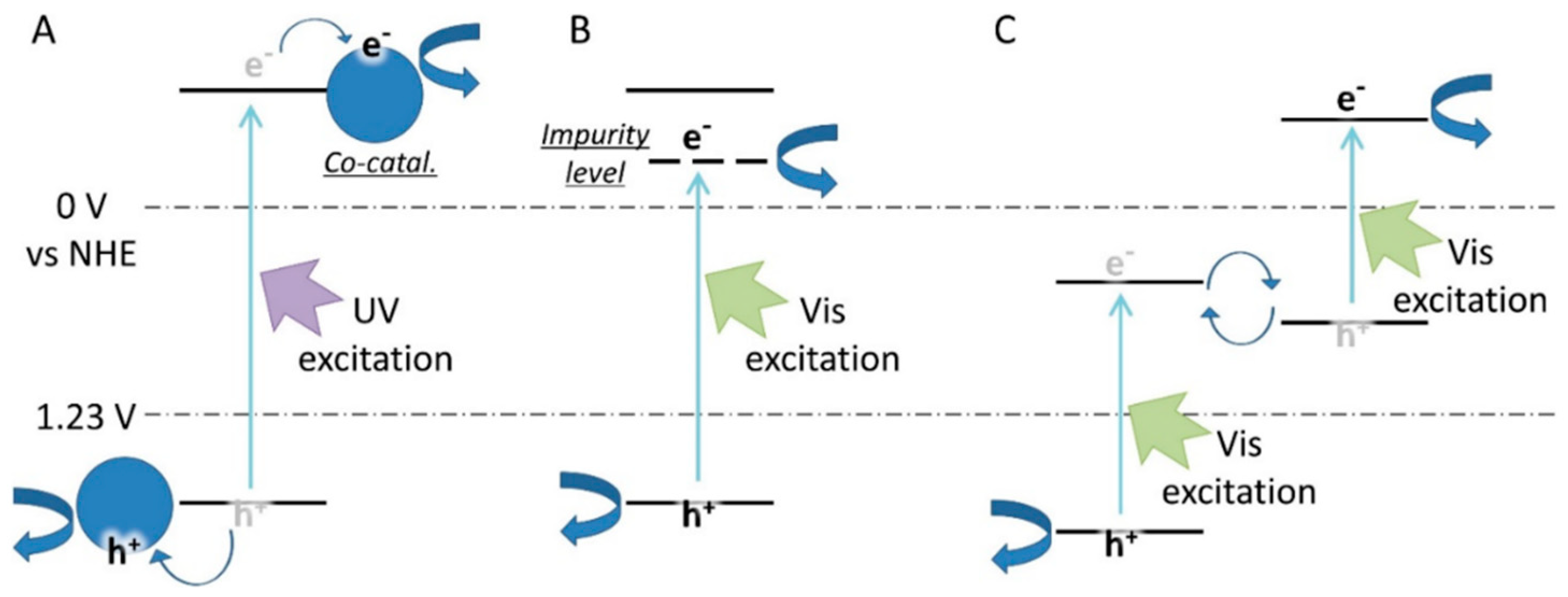 Catalysts 15 01159 g002 Catalysts 15 01159 g002