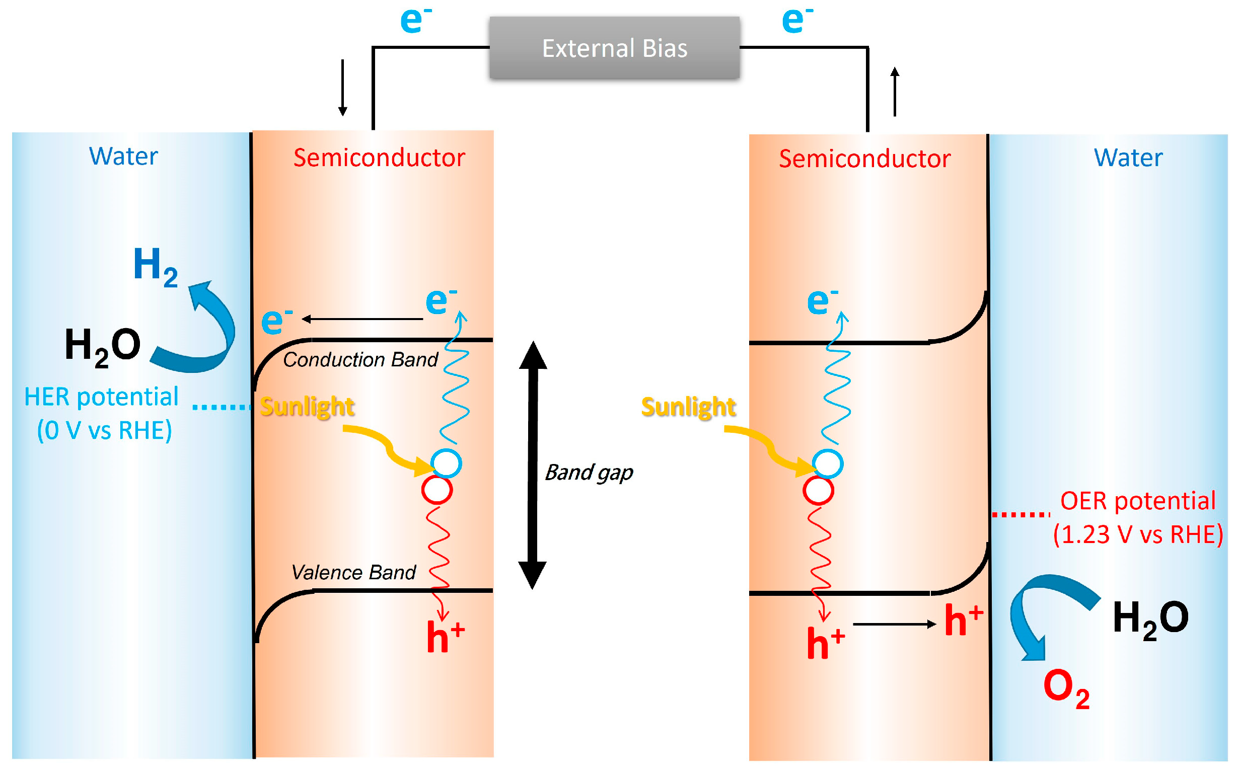 Catalysts 15 01159 sch001 Catalysts 15 01159 sch001