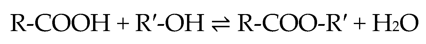 Catalysts 15 01161 sch001