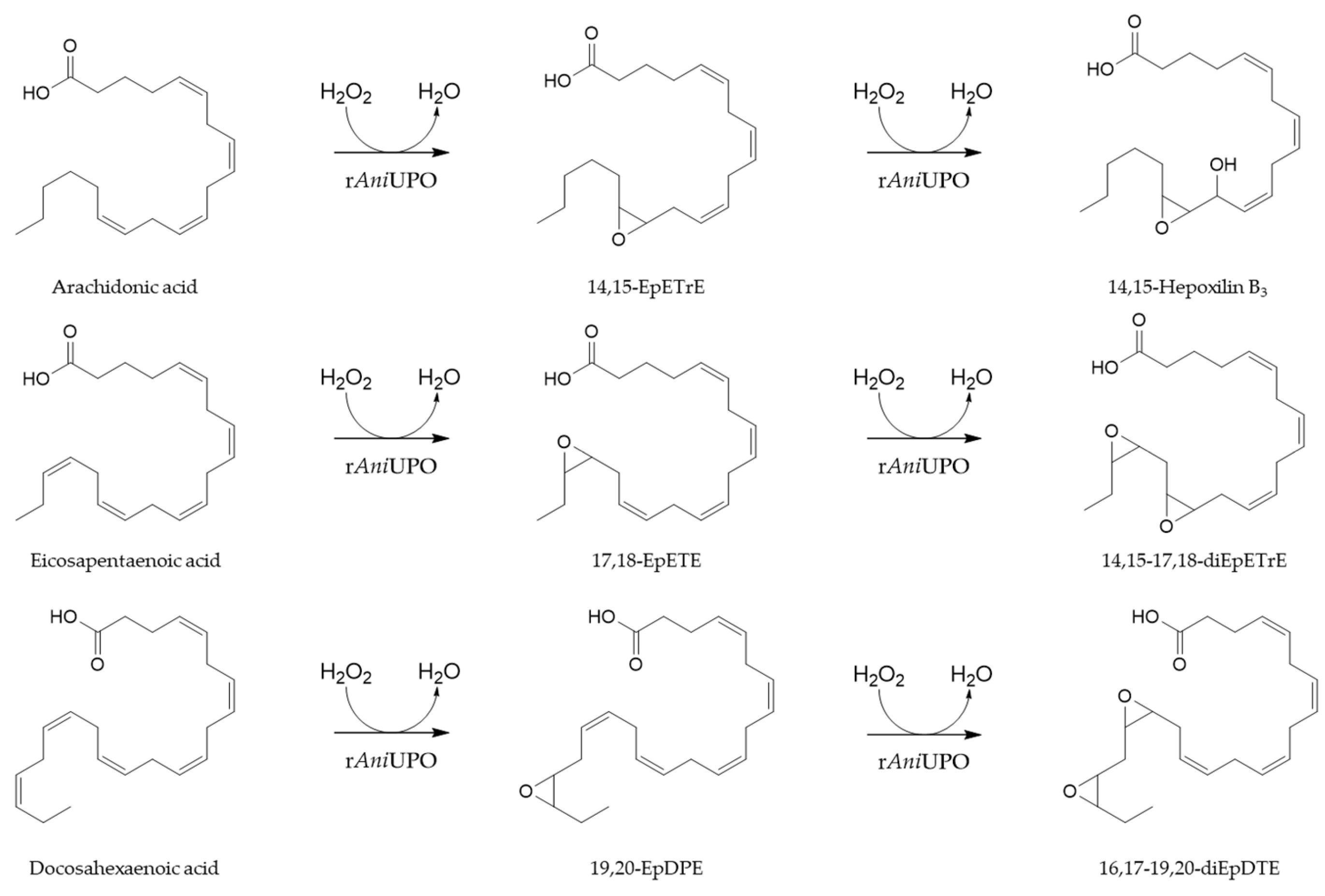 Catalysts 15 01162 g006 Catalysts 15 01162 g006