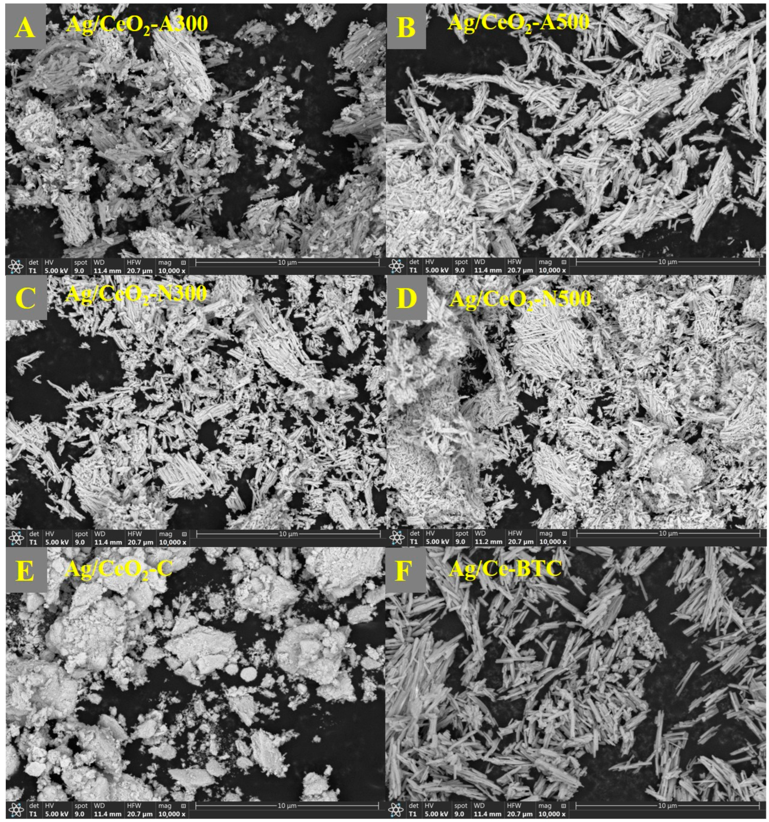 Catalysts 15 01165 g004 Catalysts 15 01165 g004