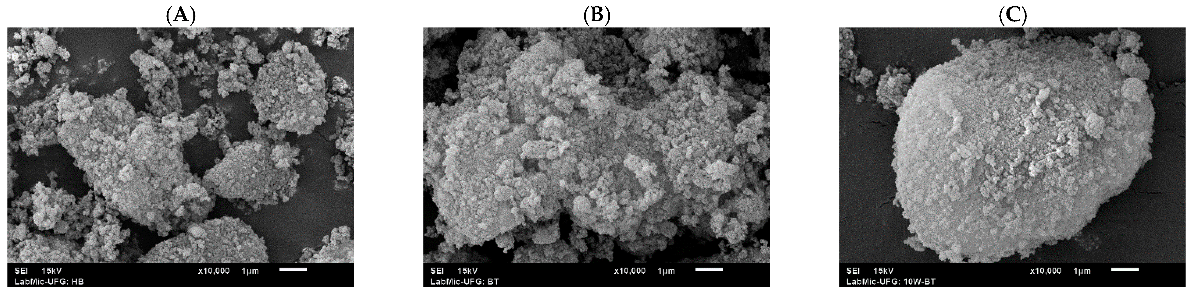 Catalysts 15 01170 g007